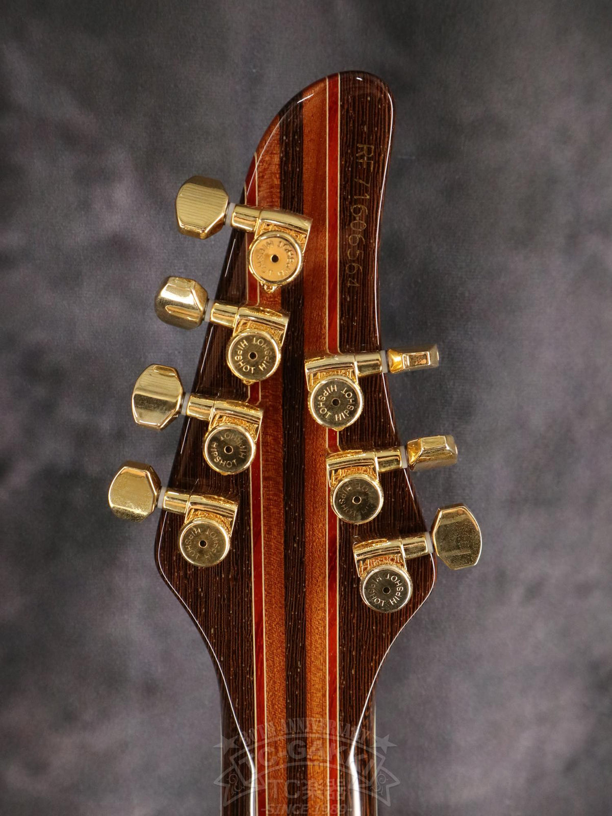 Mayones Regius 7 - TC楽器 - TCGAKKI