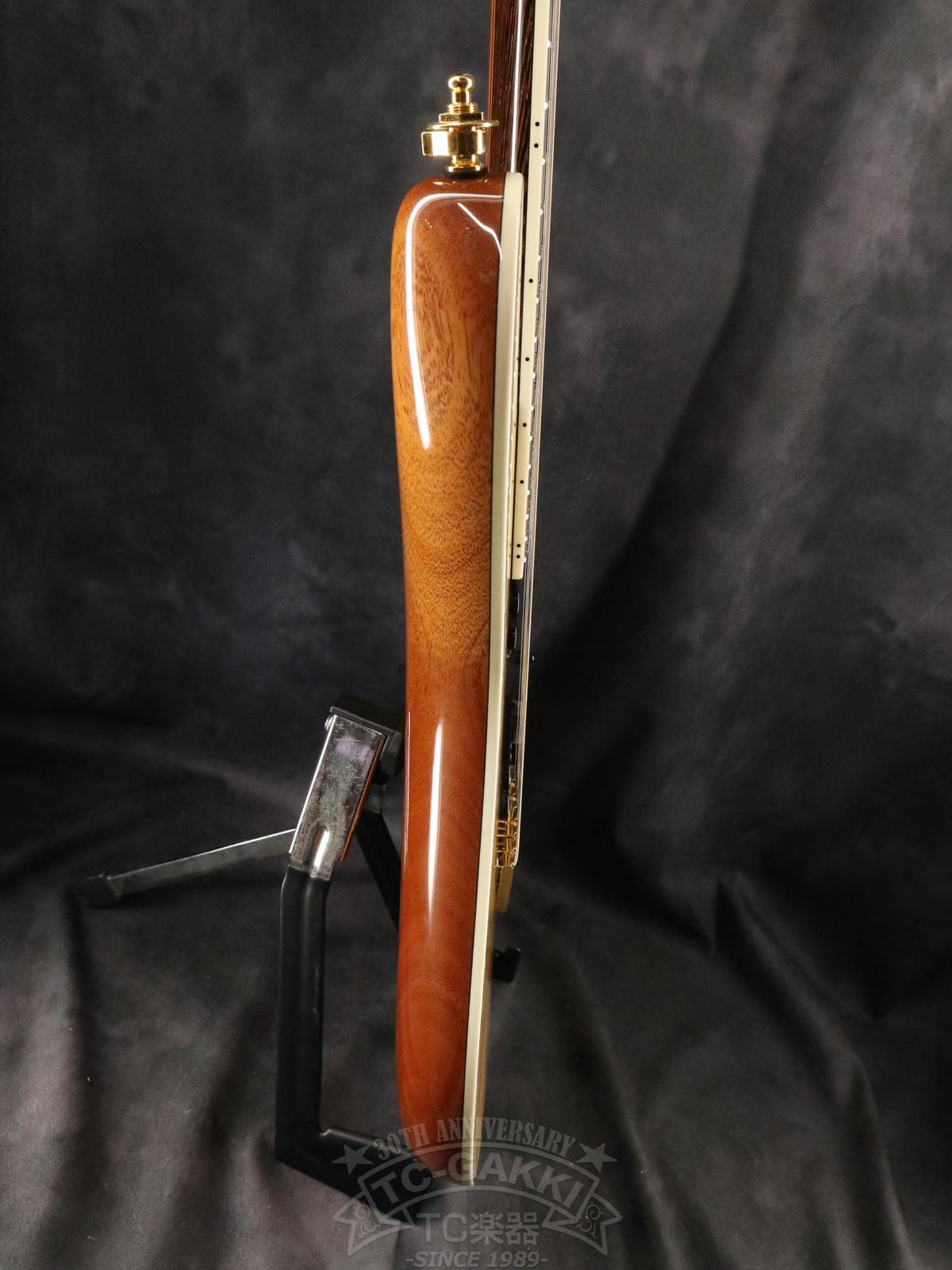 Mayones Regius 7 - TC楽器 - TCGAKKI