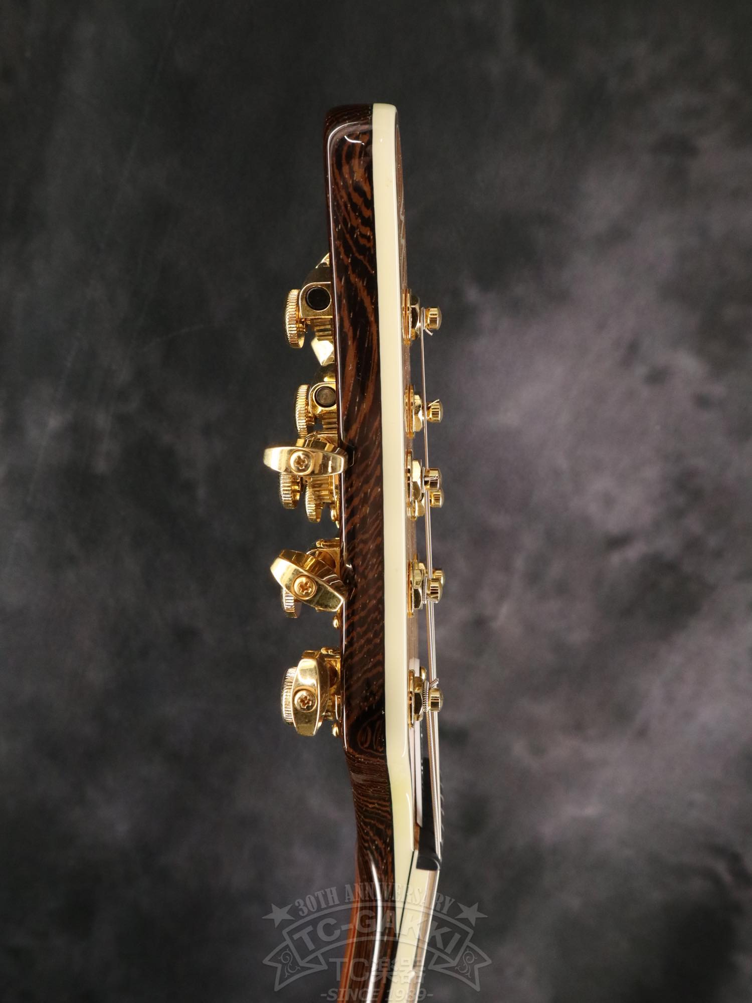 Mayones Regius 7 - TC楽器 - TCGAKKI