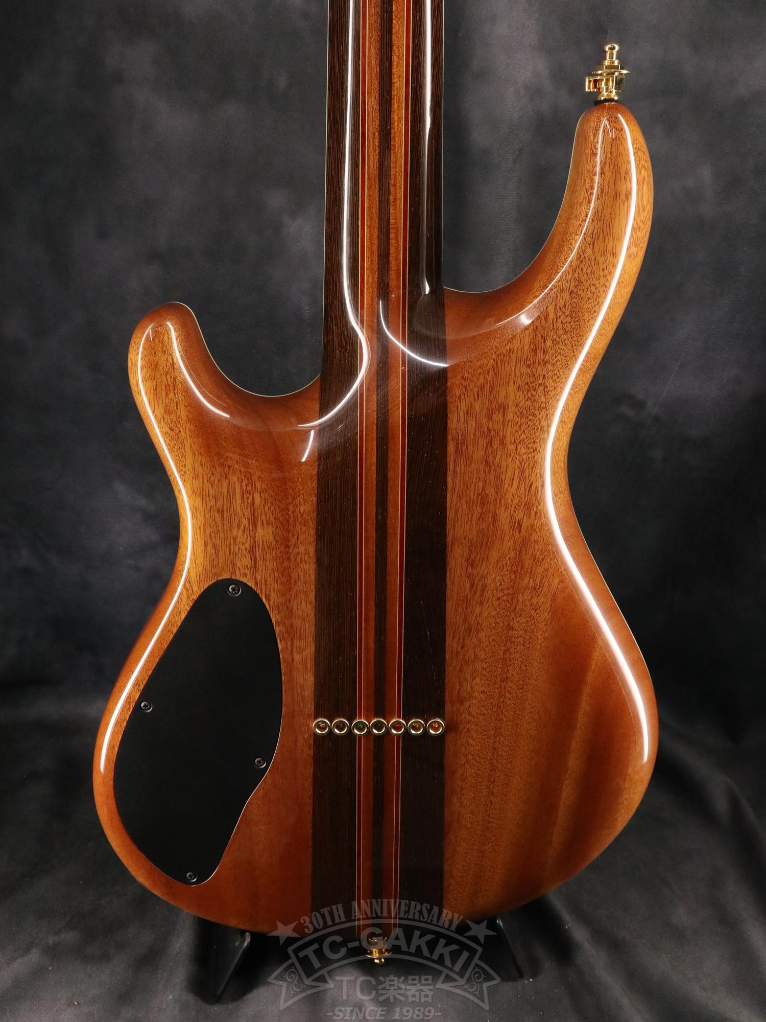 Mayones Regius 7 - TC楽器 - TCGAKKI