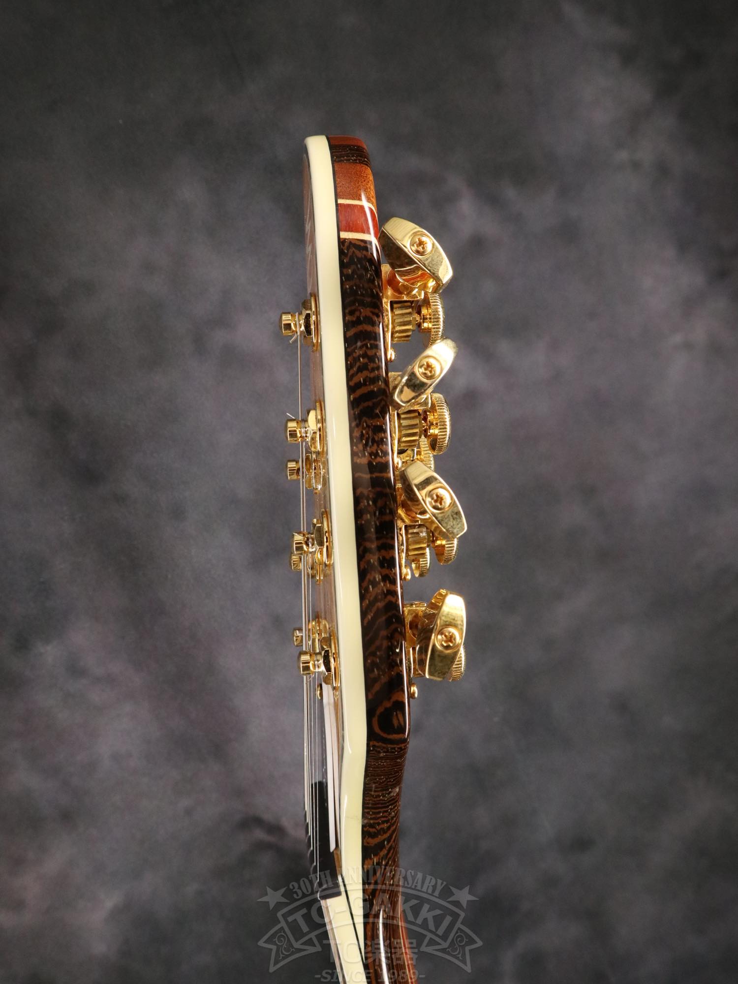 Mayones Regius 7 - TC楽器 - TCGAKKI