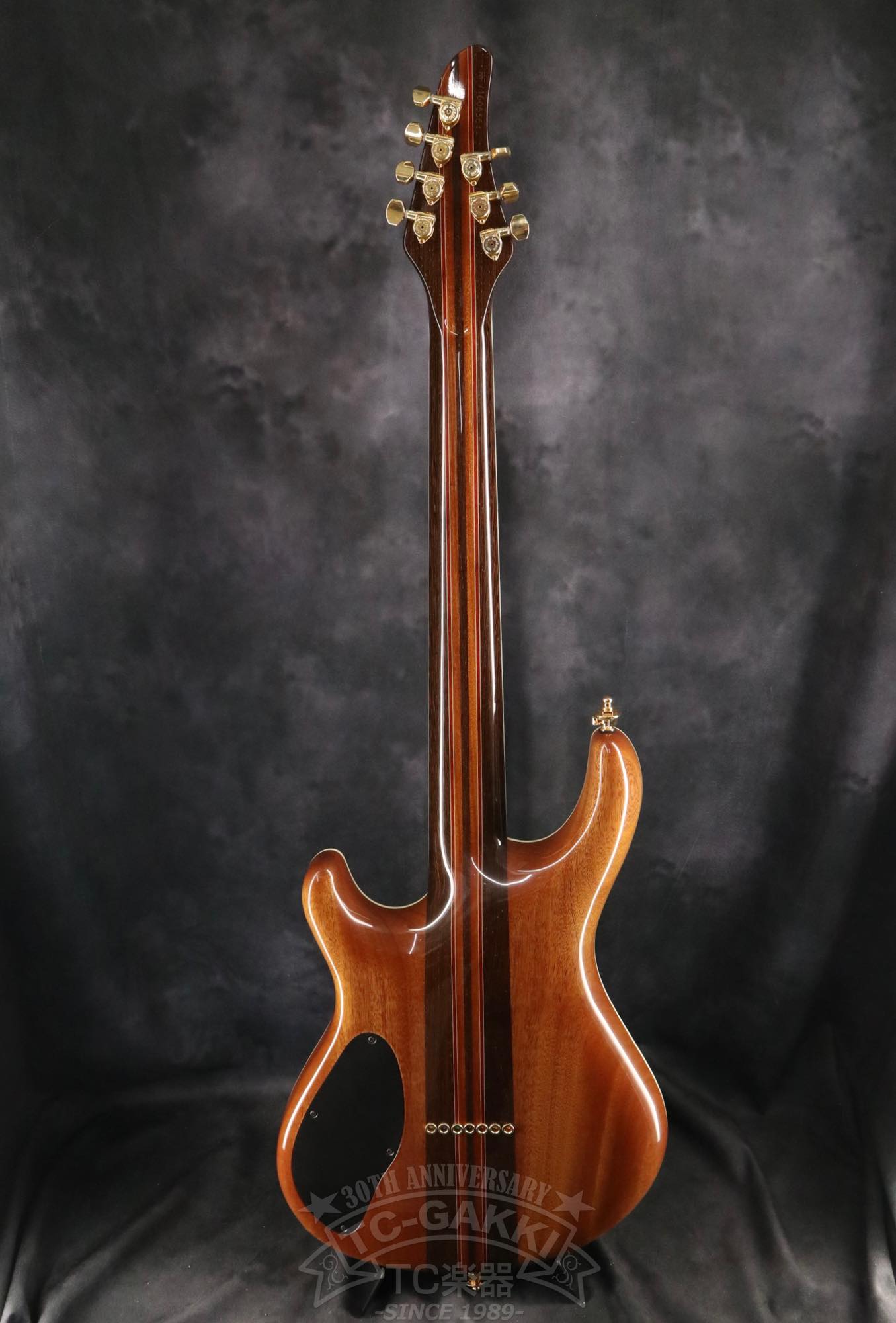 Mayones Regius 7 - TC楽器 - TCGAKKI