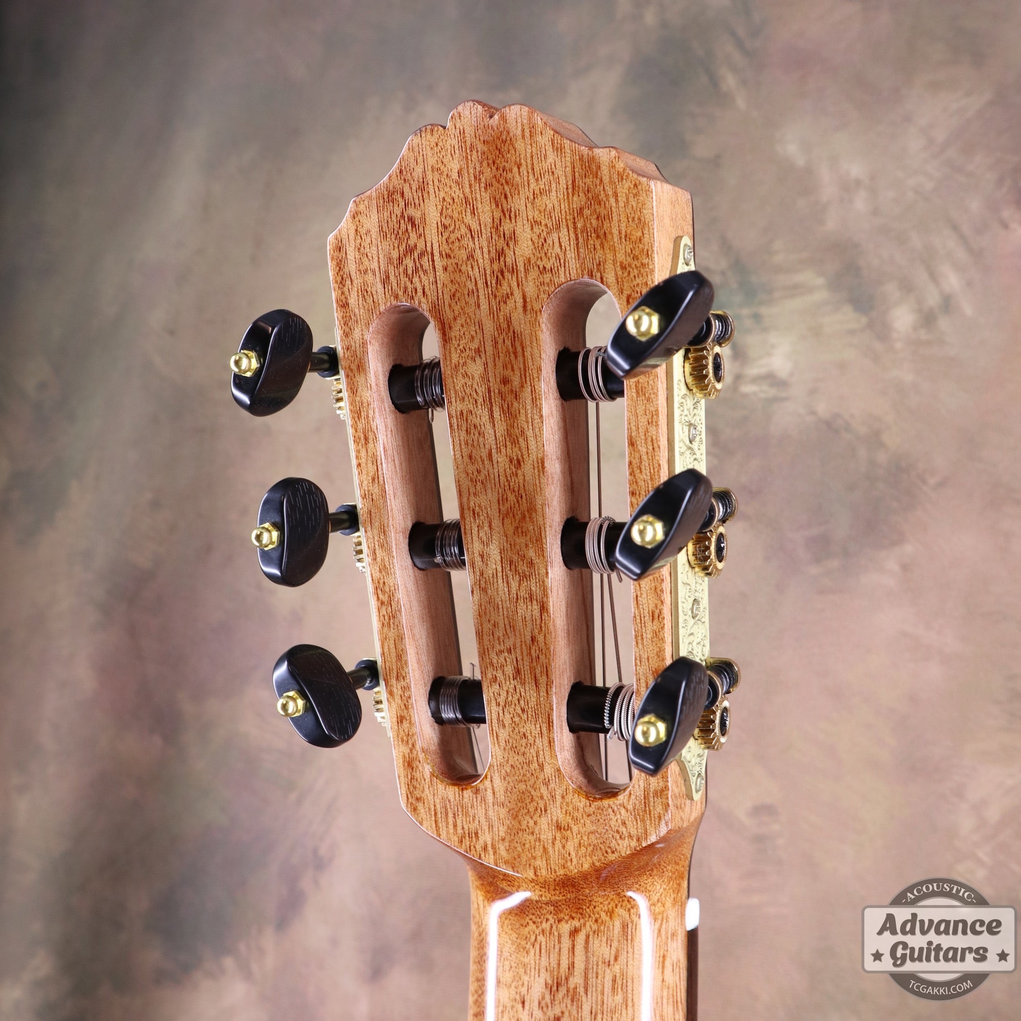 【新品】MCC - 10 - TC楽器 - TCGAKKI