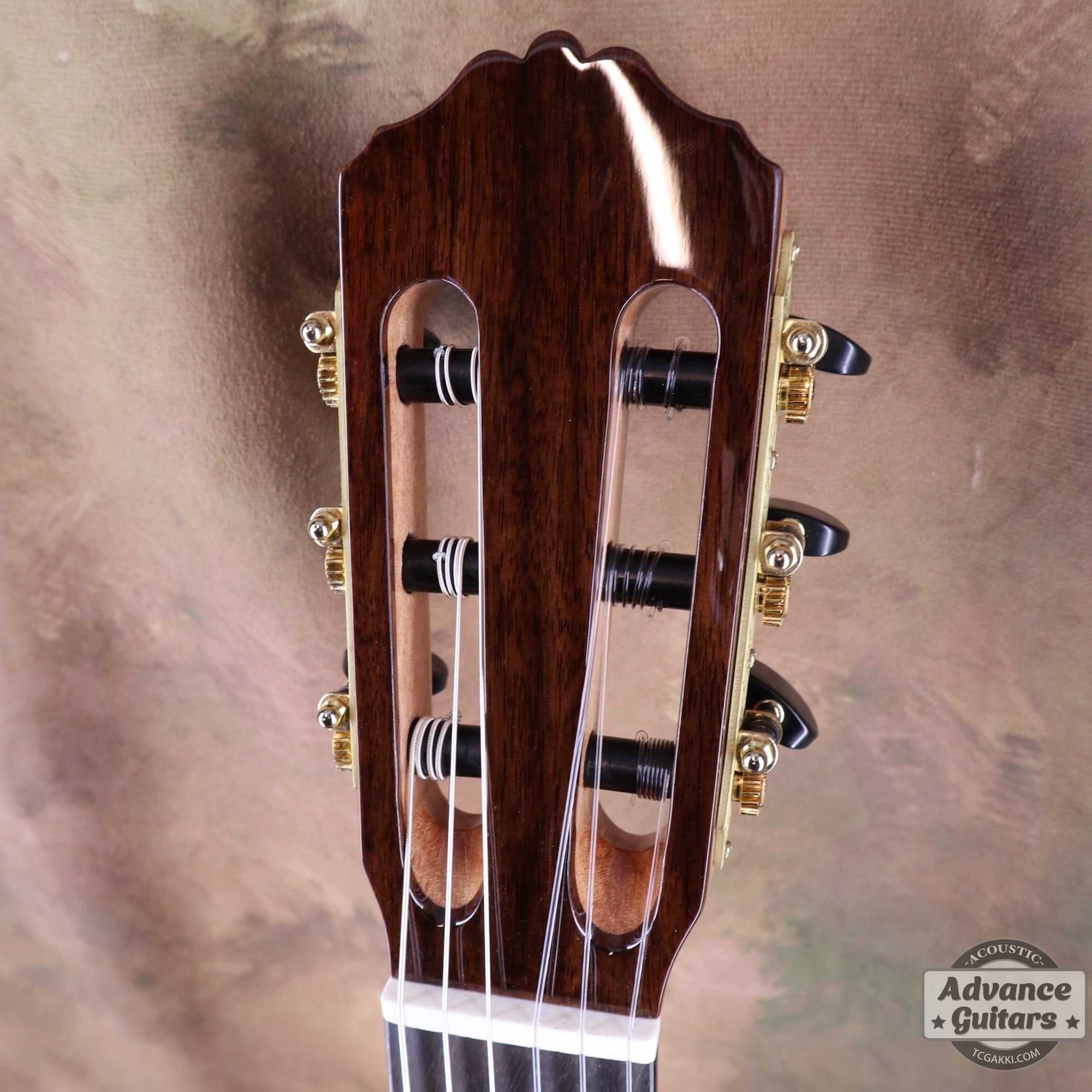 【新品】MCC - 20 - EQ - TC楽器 - TCGAKKI