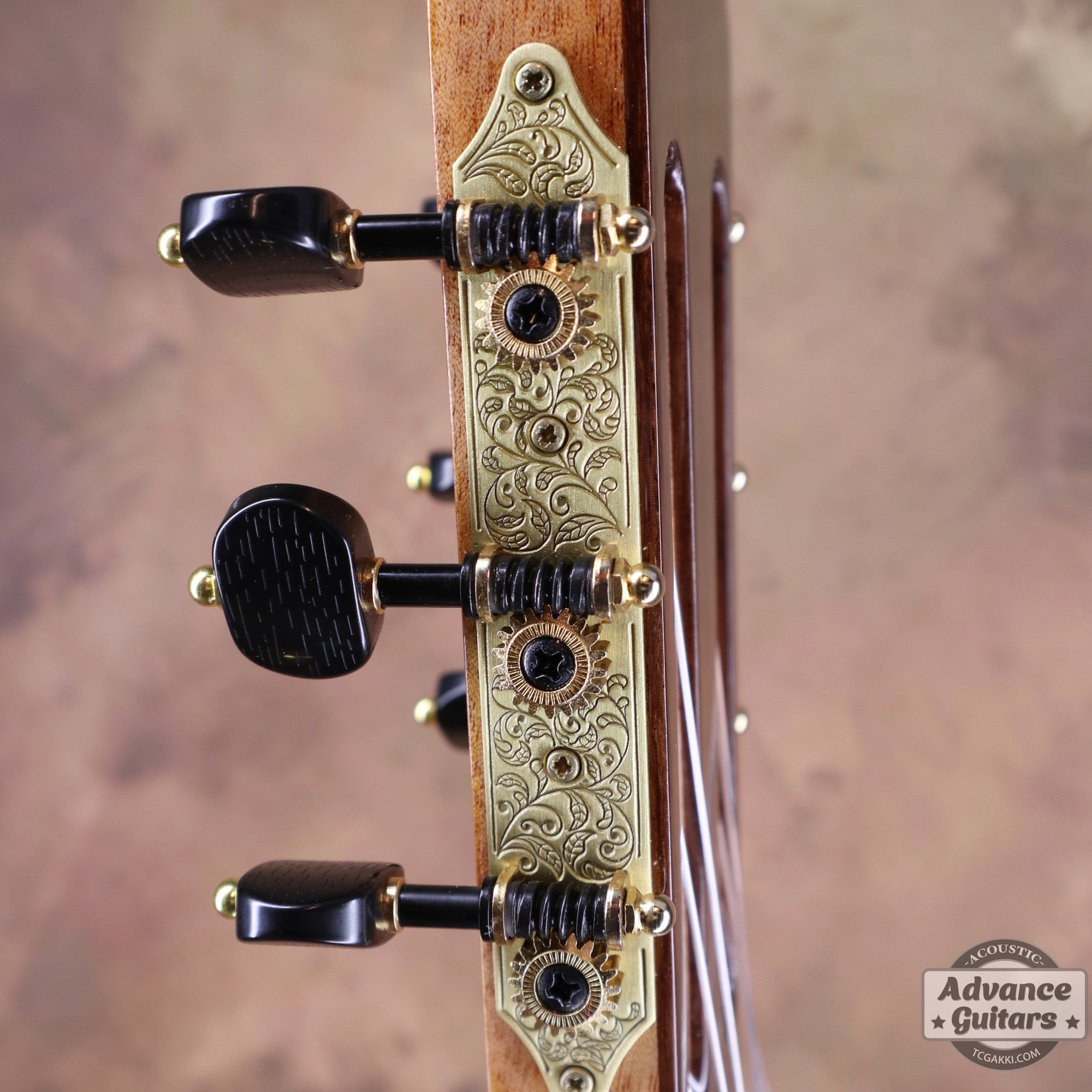 【新品】MCC - 20 - EQ - TC楽器 - TCGAKKI