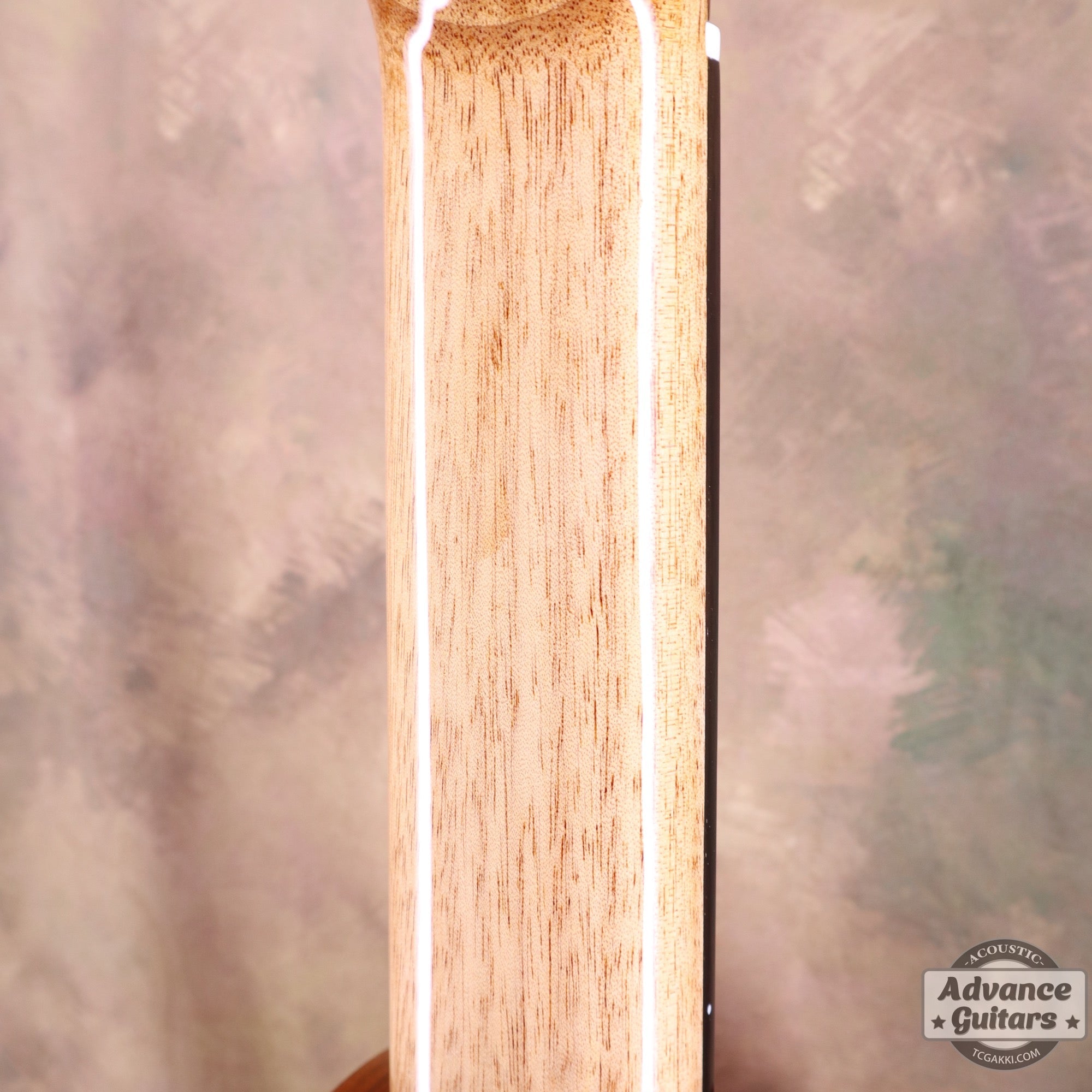 【新品】MCC - 20 - EQ - TC楽器 - TCGAKKI