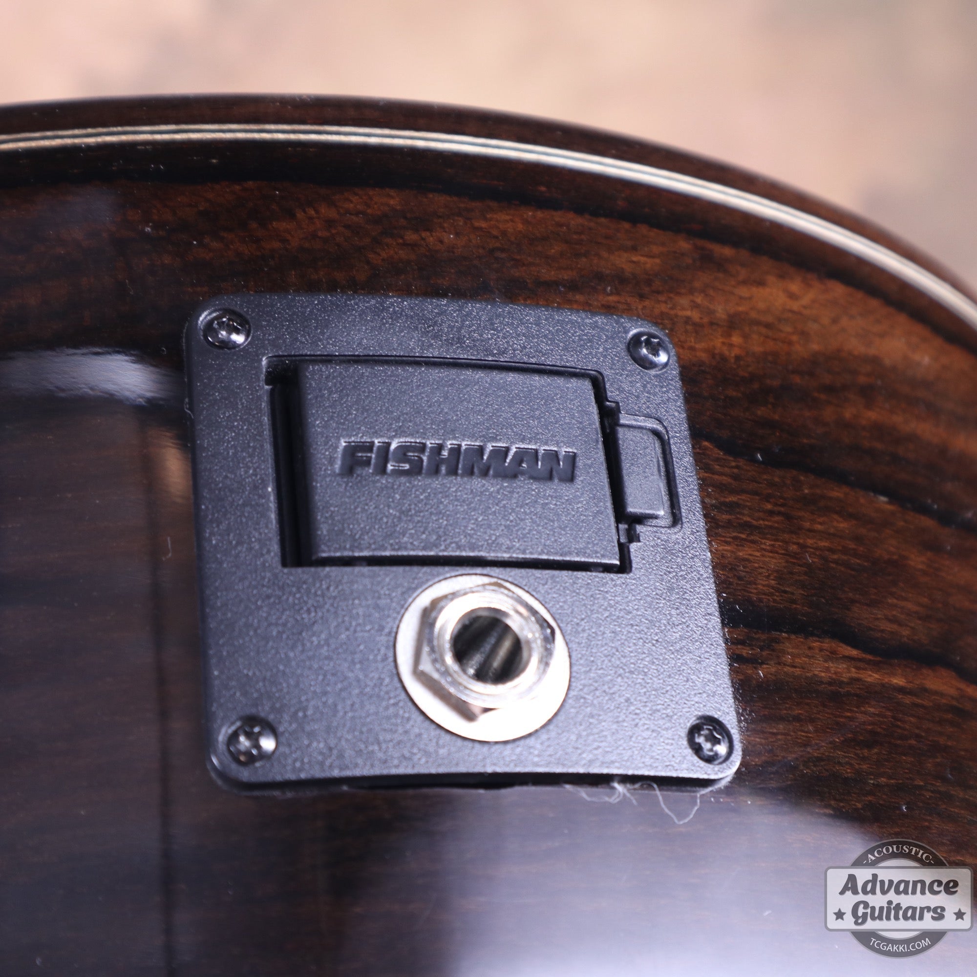 【新品】MCC - 20 - EQ - TC楽器 - TCGAKKI