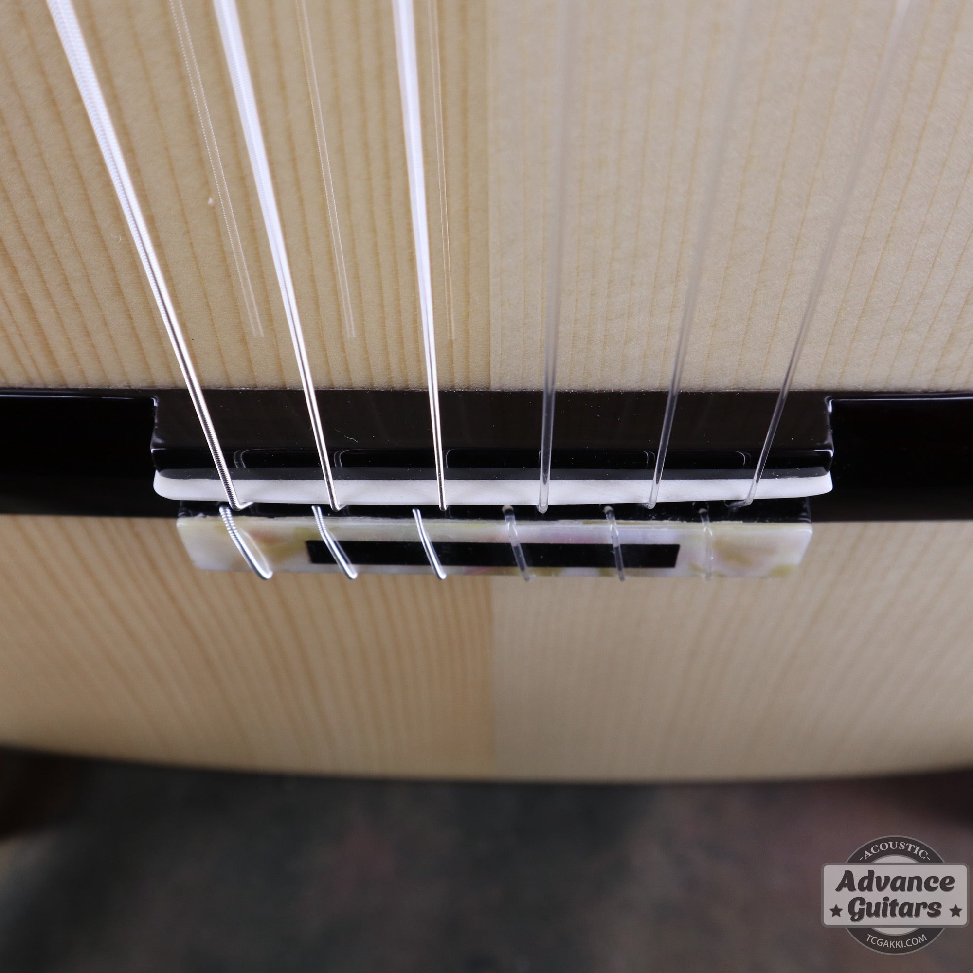 【新品】MCC - 20 - EQ - TC楽器 - TCGAKKI