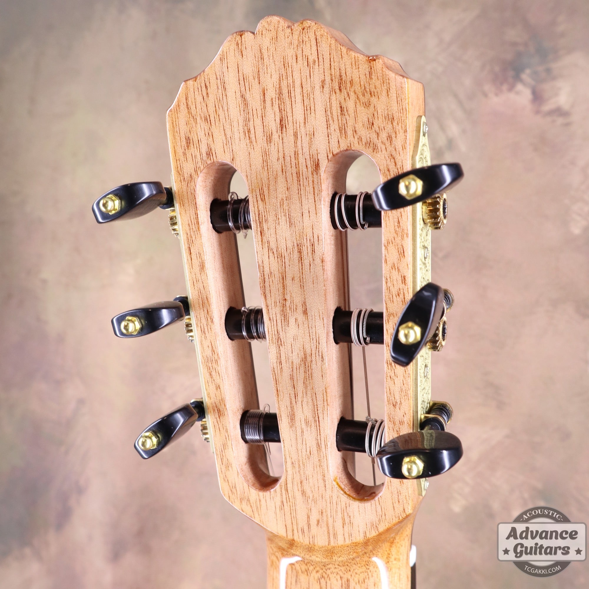 【新品】MCC - 20 - EQ - TC楽器 - TCGAKKI