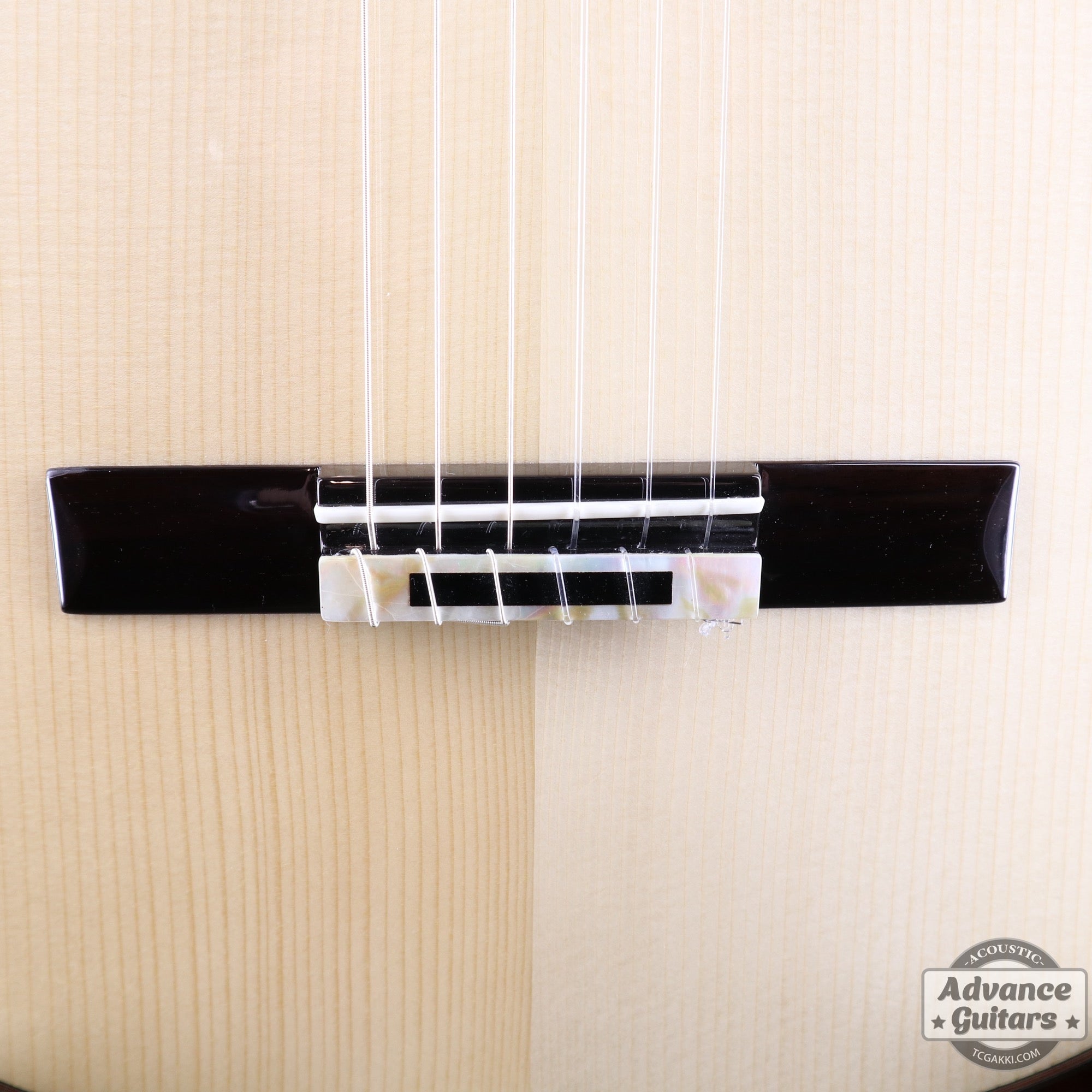 【新品】MCC - 20 - EQ - TC楽器 - TCGAKKI