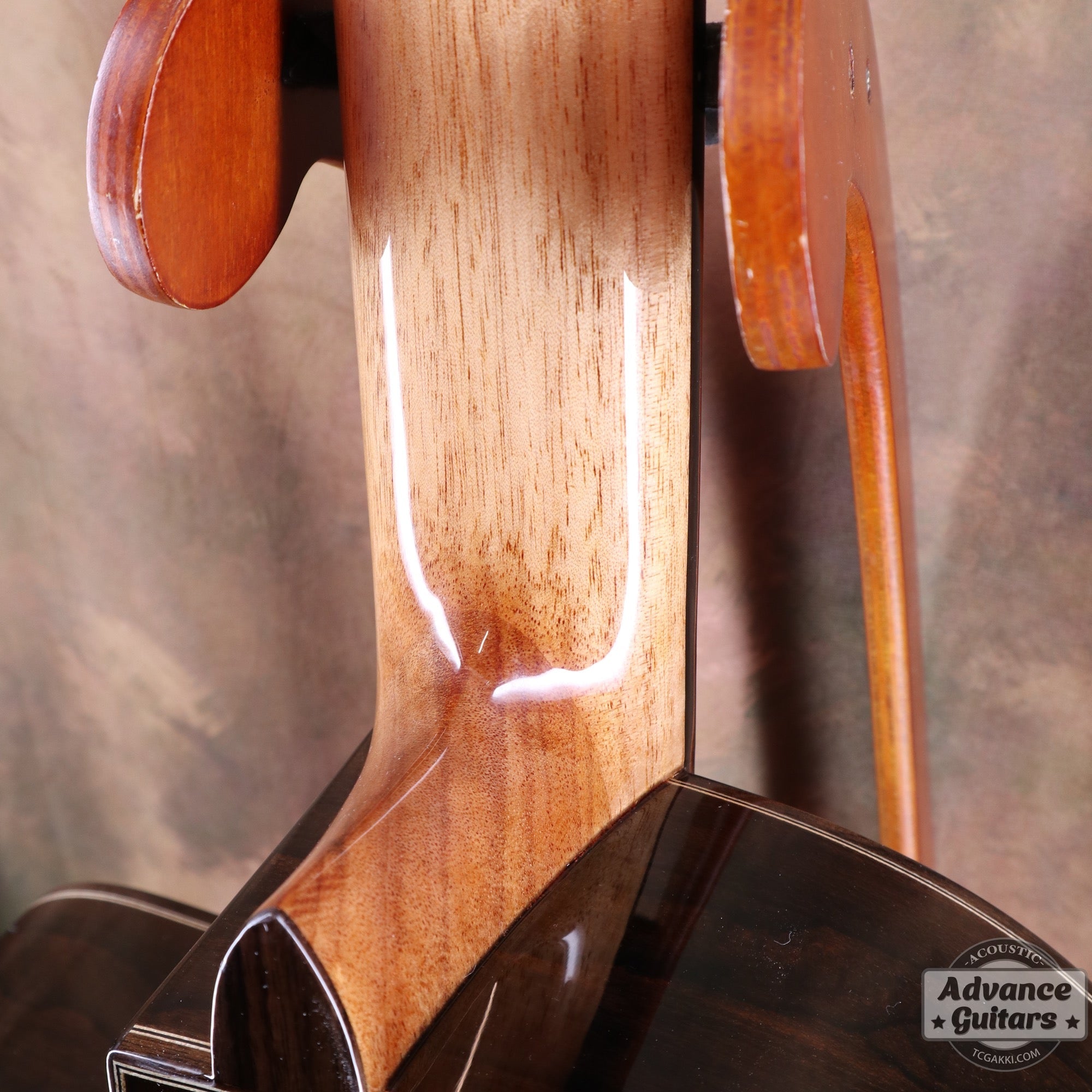 【新品】MCC - 20 - EQ - TC楽器 - TCGAKKI