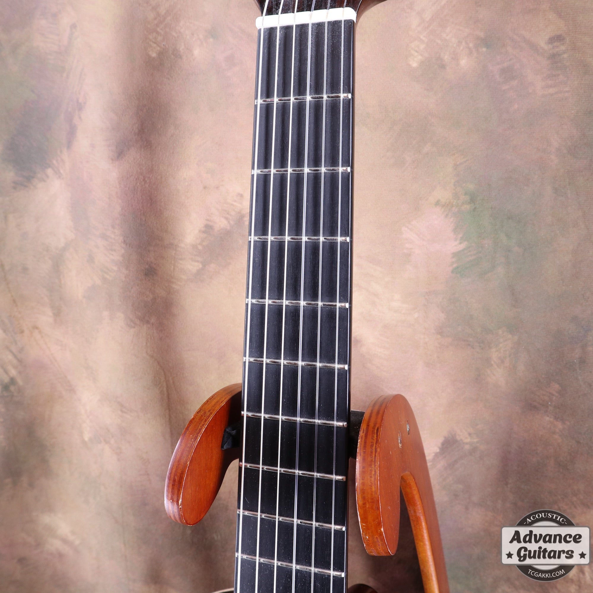Memory of SONOMA CLASICAL - TC楽器 - TCGAKKI