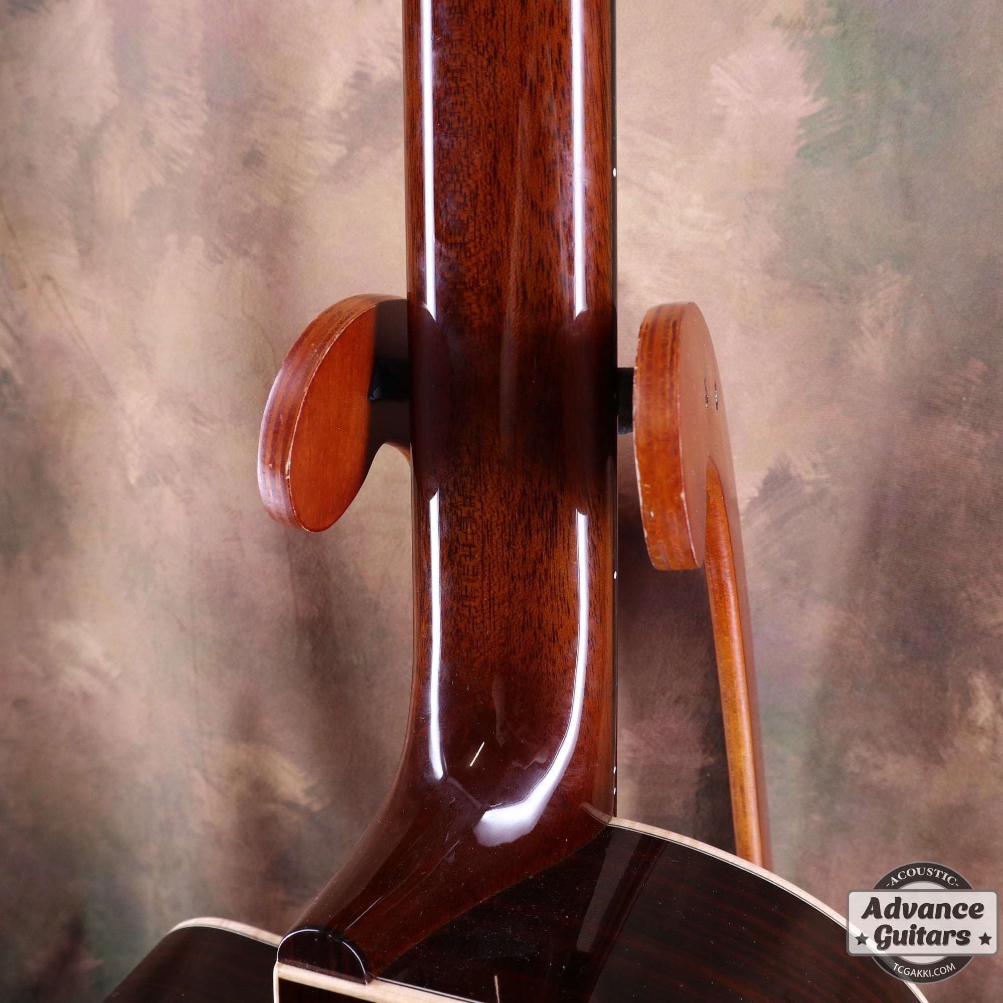 Memory of SONOMA CLASICAL - TC楽器 - TCGAKKI