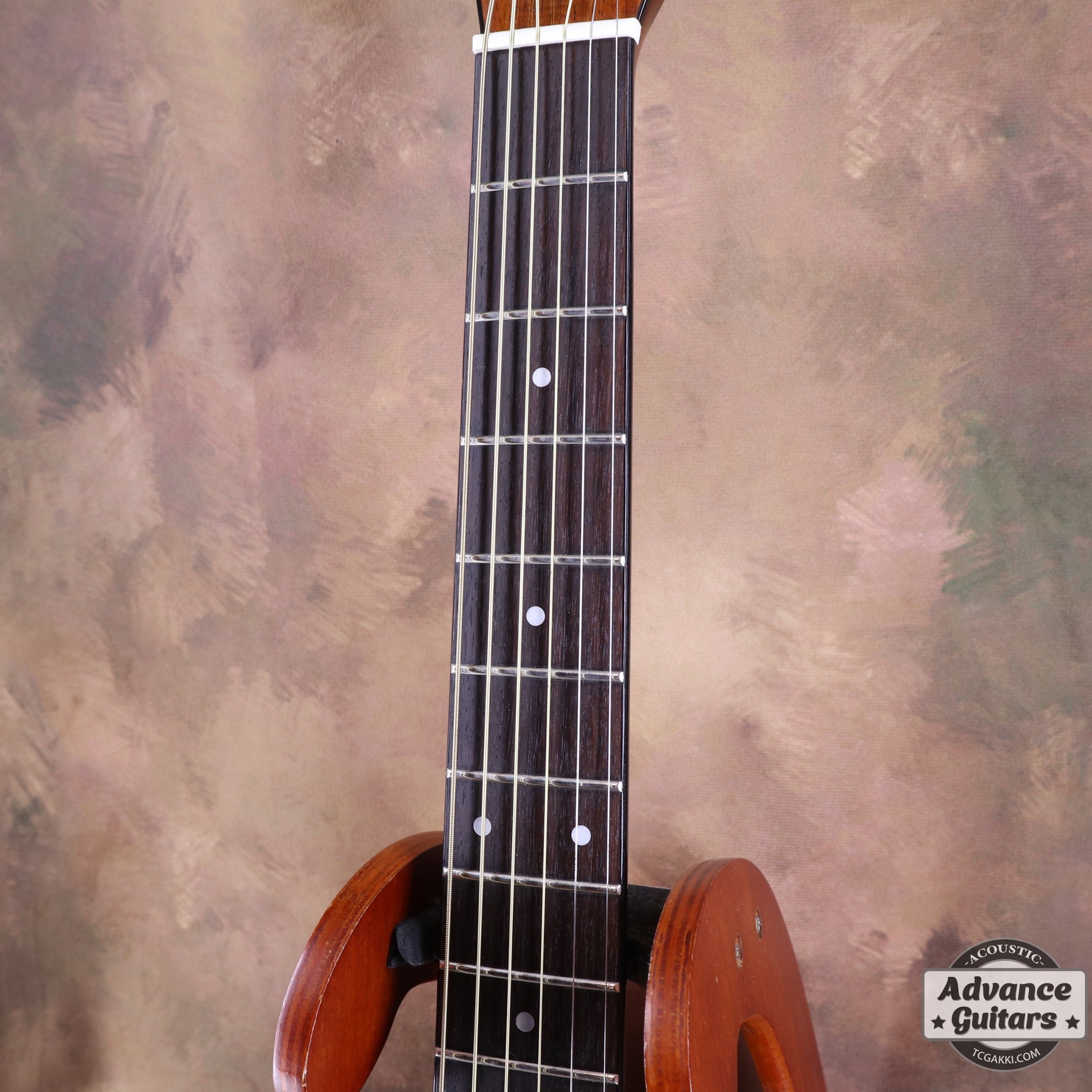 Morris MF-702 - TC楽器 - TCGAKKI