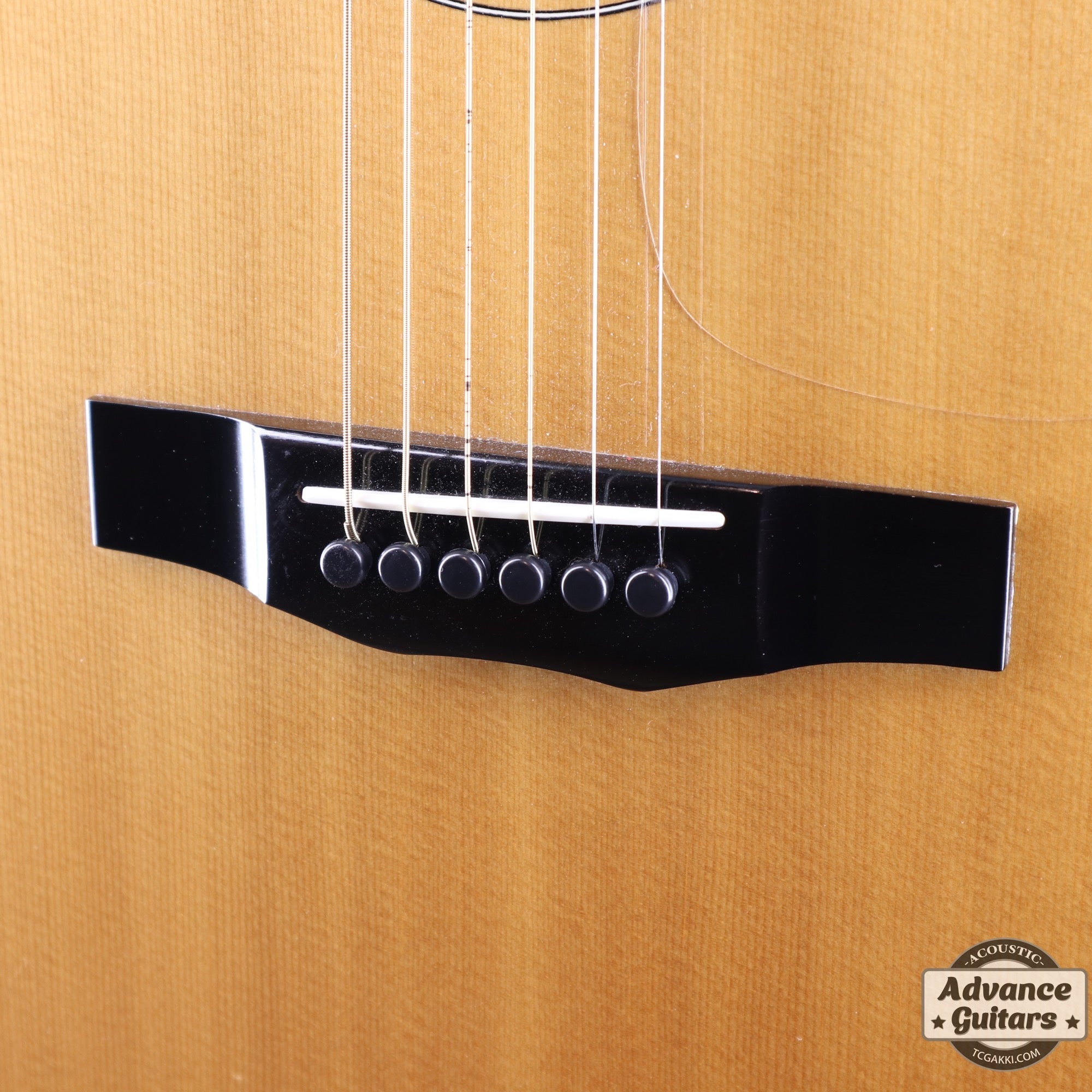 Morris MF-702 - TC楽器 - TCGAKKI