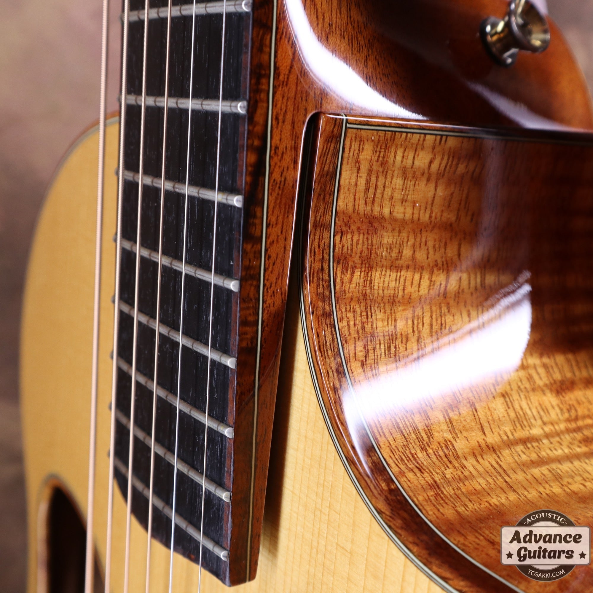 MG - 5.0XP Koa/Carpathian Red Spruce - TC楽器 - TCGAKKI