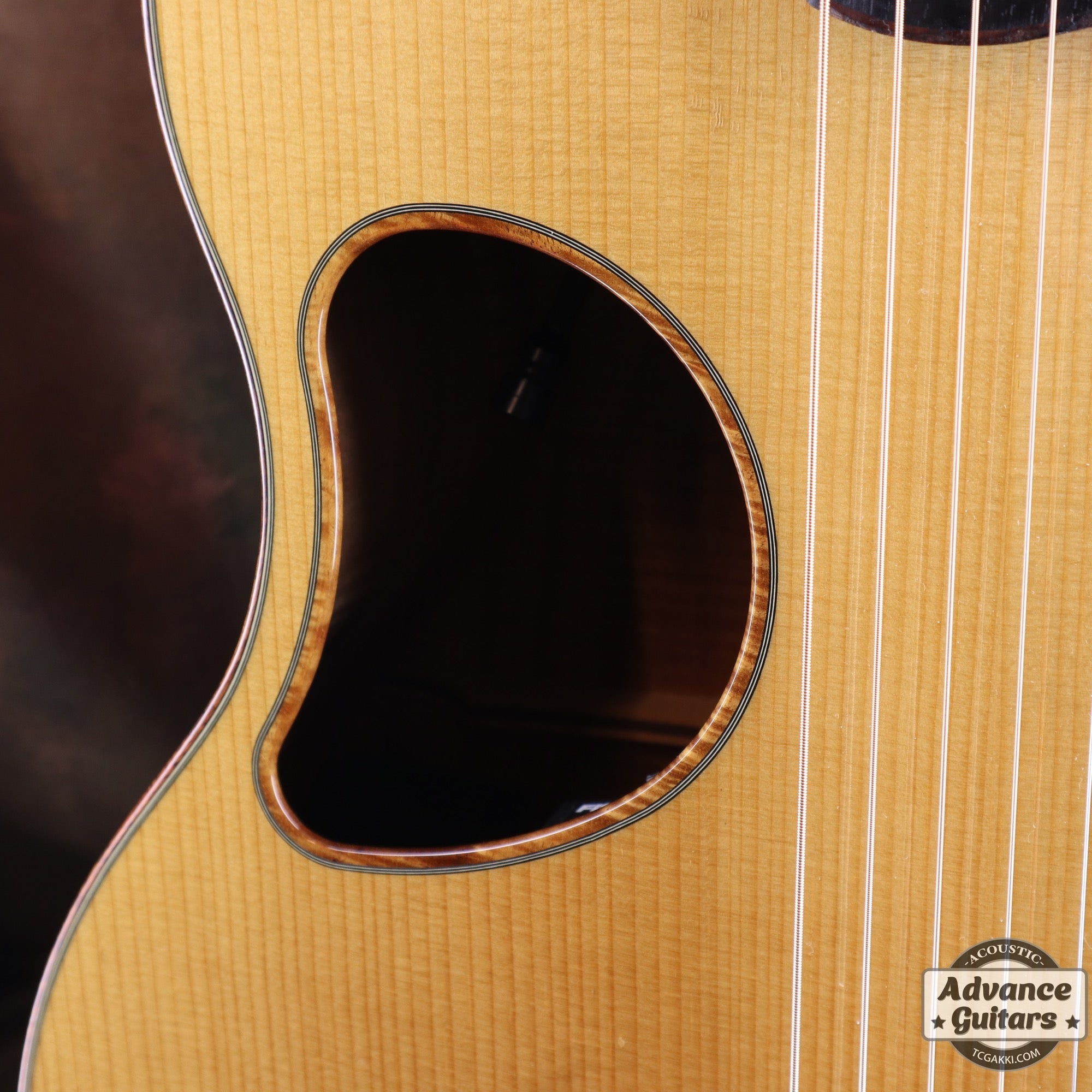 MG - 5.0XP Koa/Carpathian Red Spruce - TC楽器 - TCGAKKI