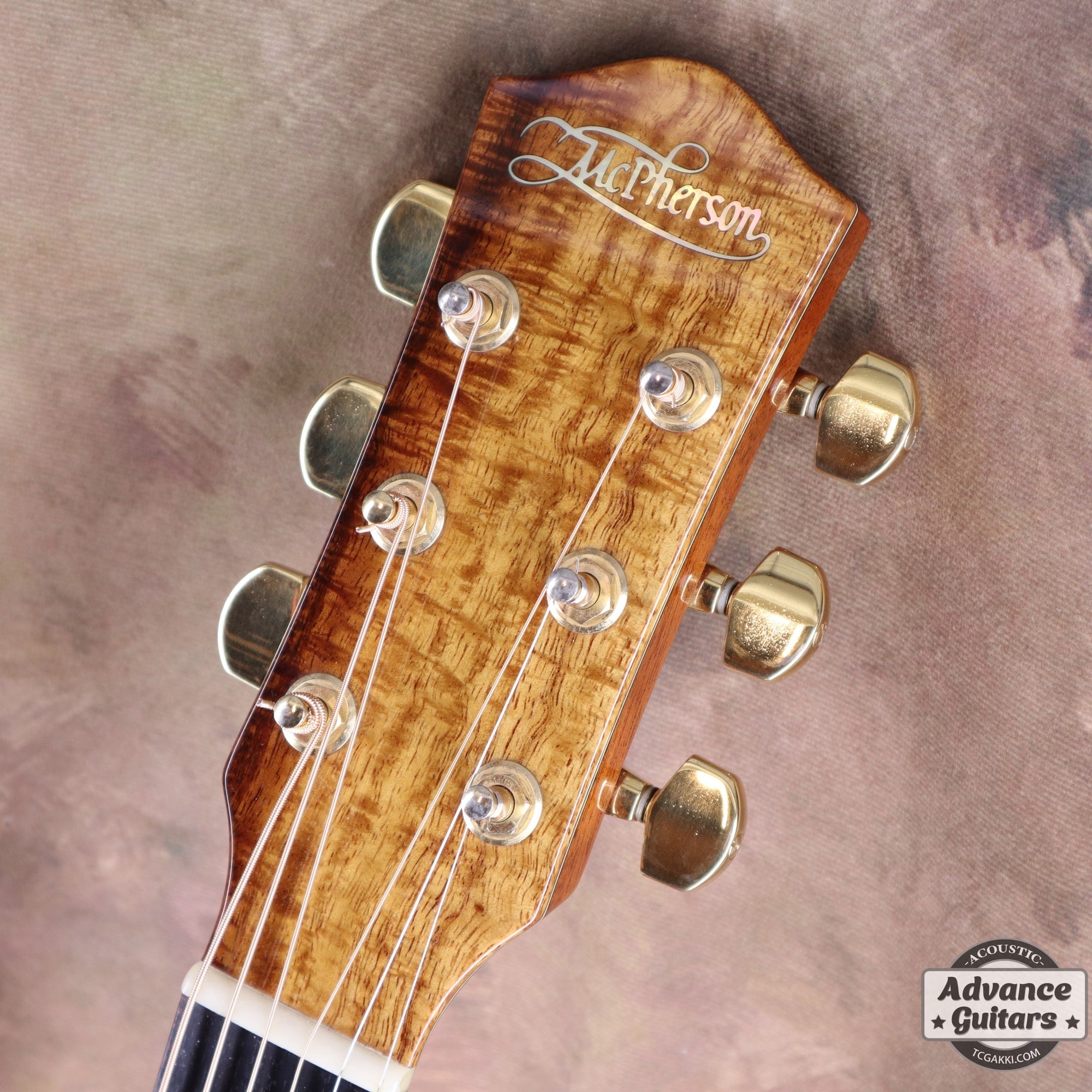 MG - 5.0XP Koa/Carpathian Red Spruce - TC楽器 - TCGAKKI