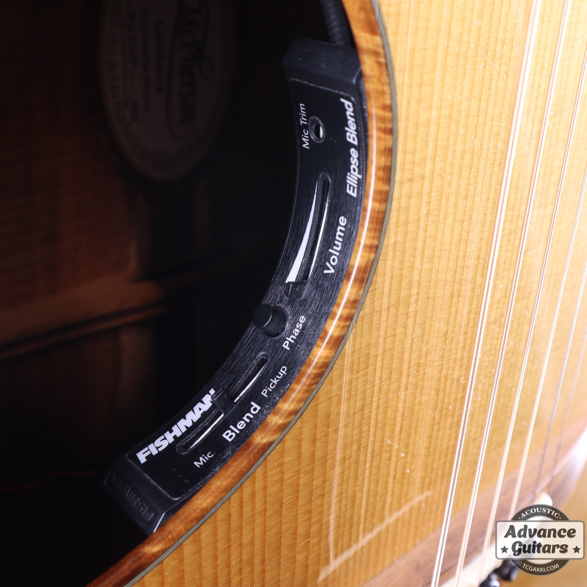 MG - 5.0XP Koa/Carpathian Red Spruce - TC楽器 - TCGAKKI