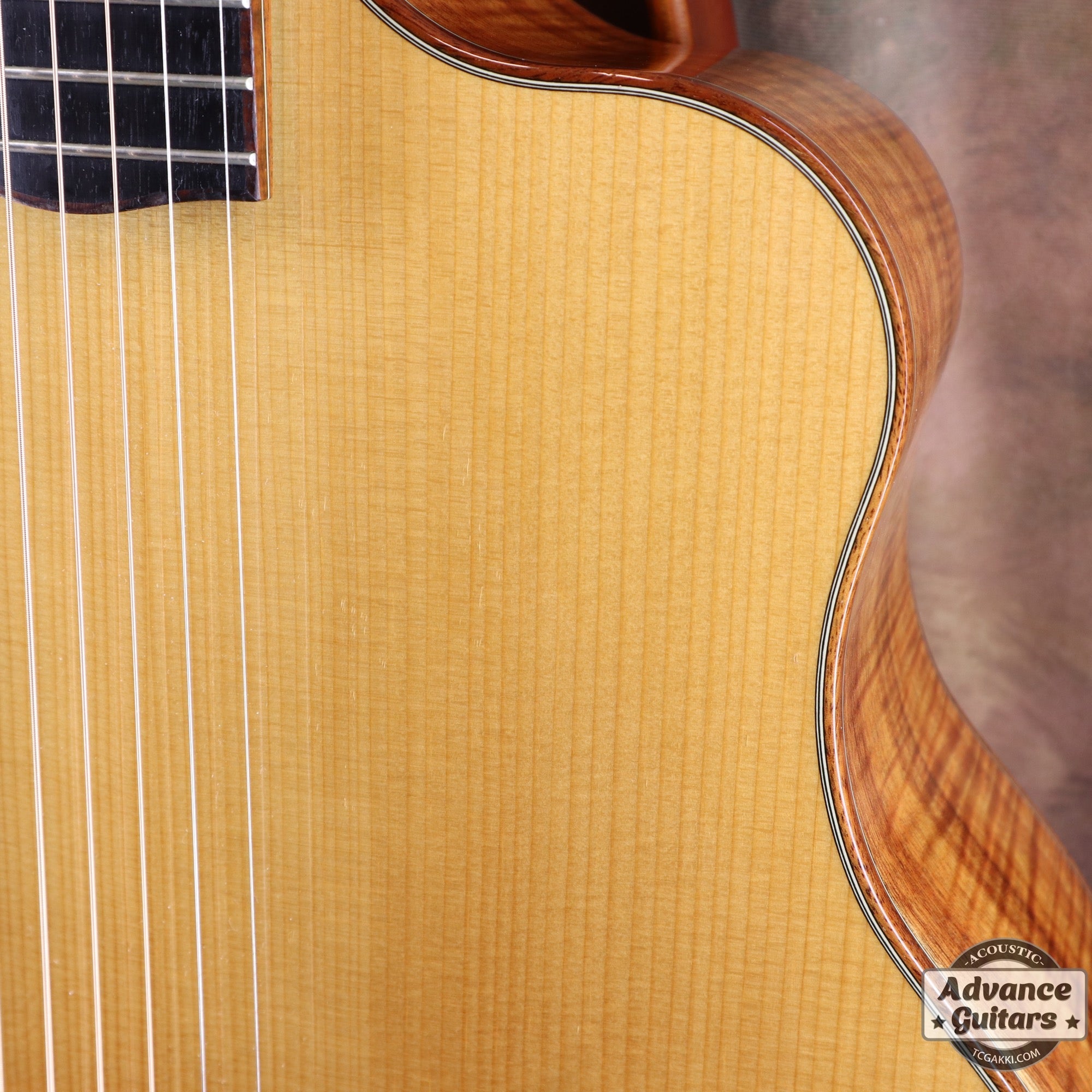 MG - 5.0XP Koa/Carpathian Red Spruce - TC楽器 - TCGAKKI