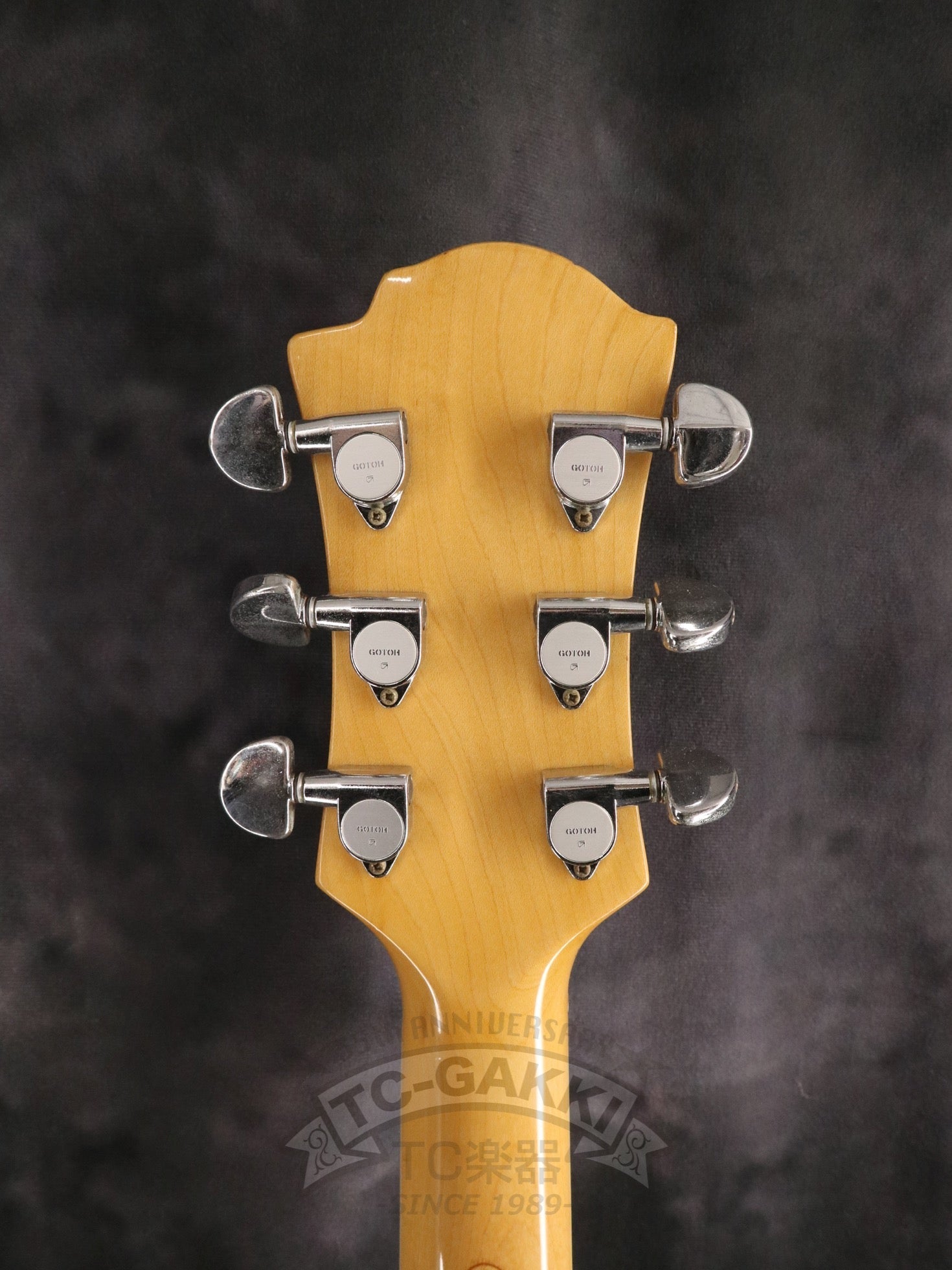 MG Model - TC楽器 - TCGAKKI