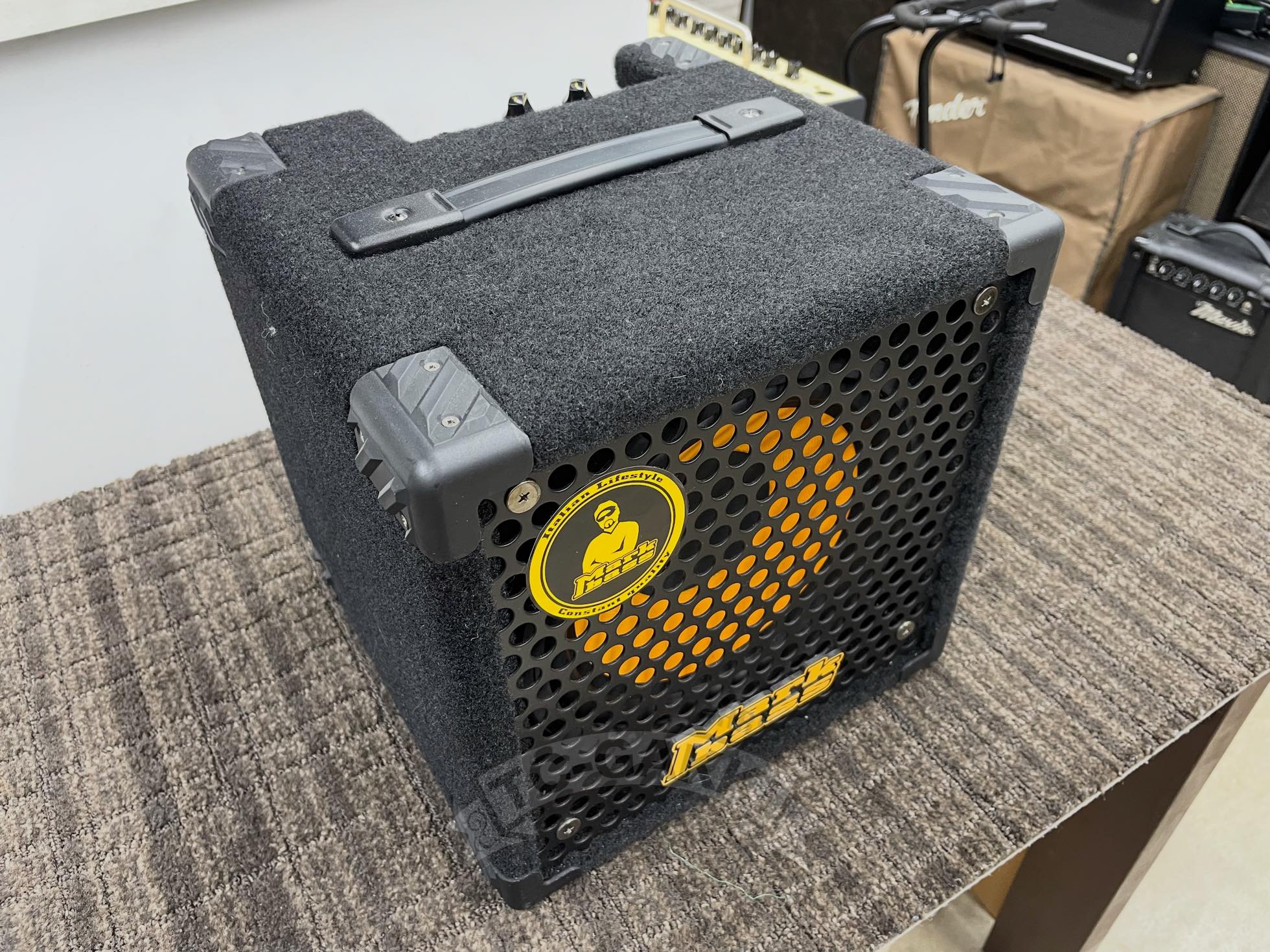 MICROMAARK 801 - TC楽器 - TCGAKKI