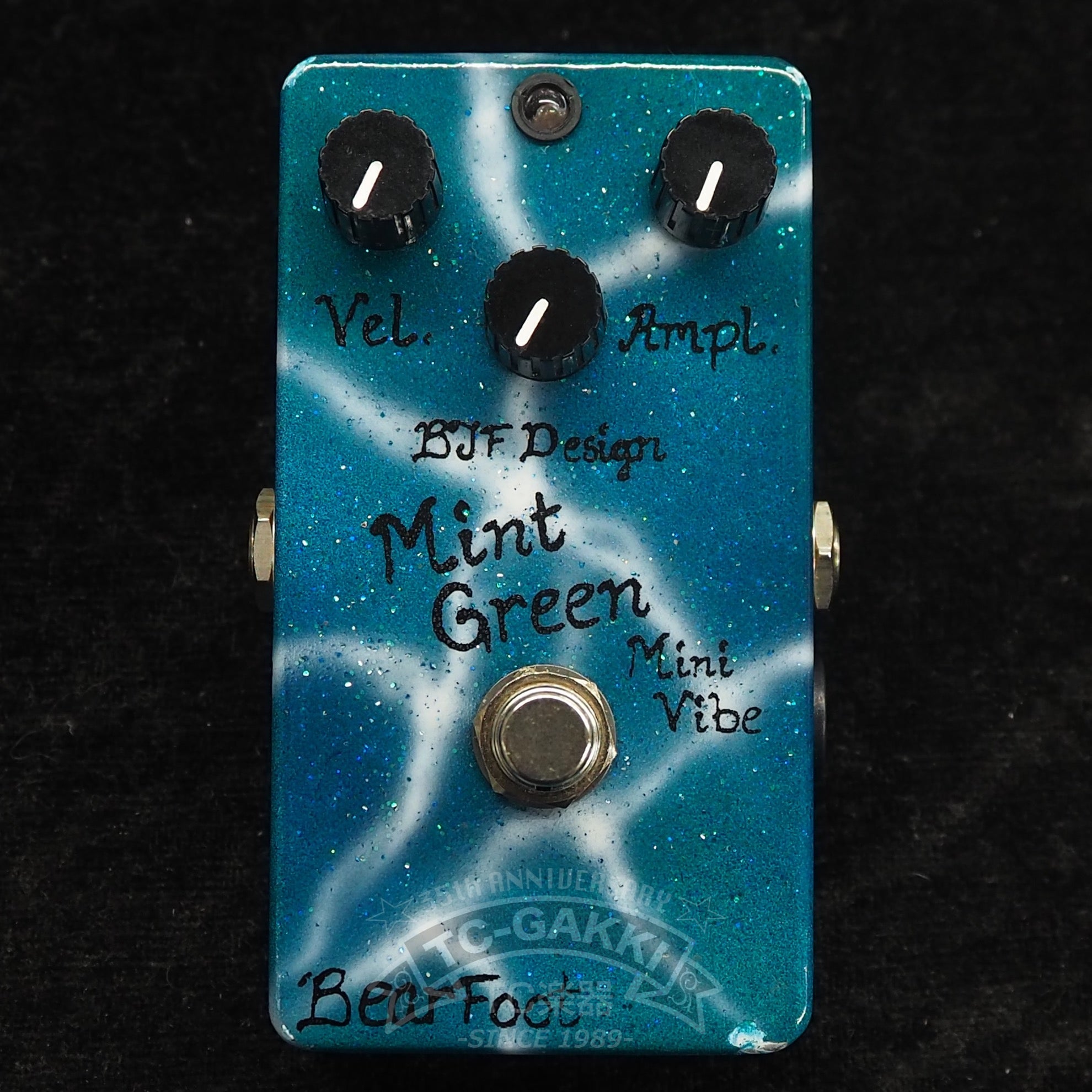 Mint Green Mini Vibe WATERbox (Custom Painted Model) - TC楽器 - TCGAKKI