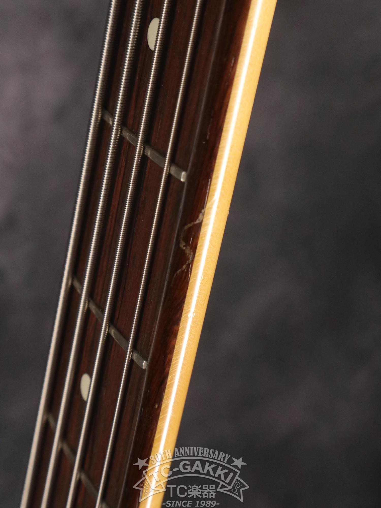 MJ2 - STD - TC楽器 - TCGAKKI