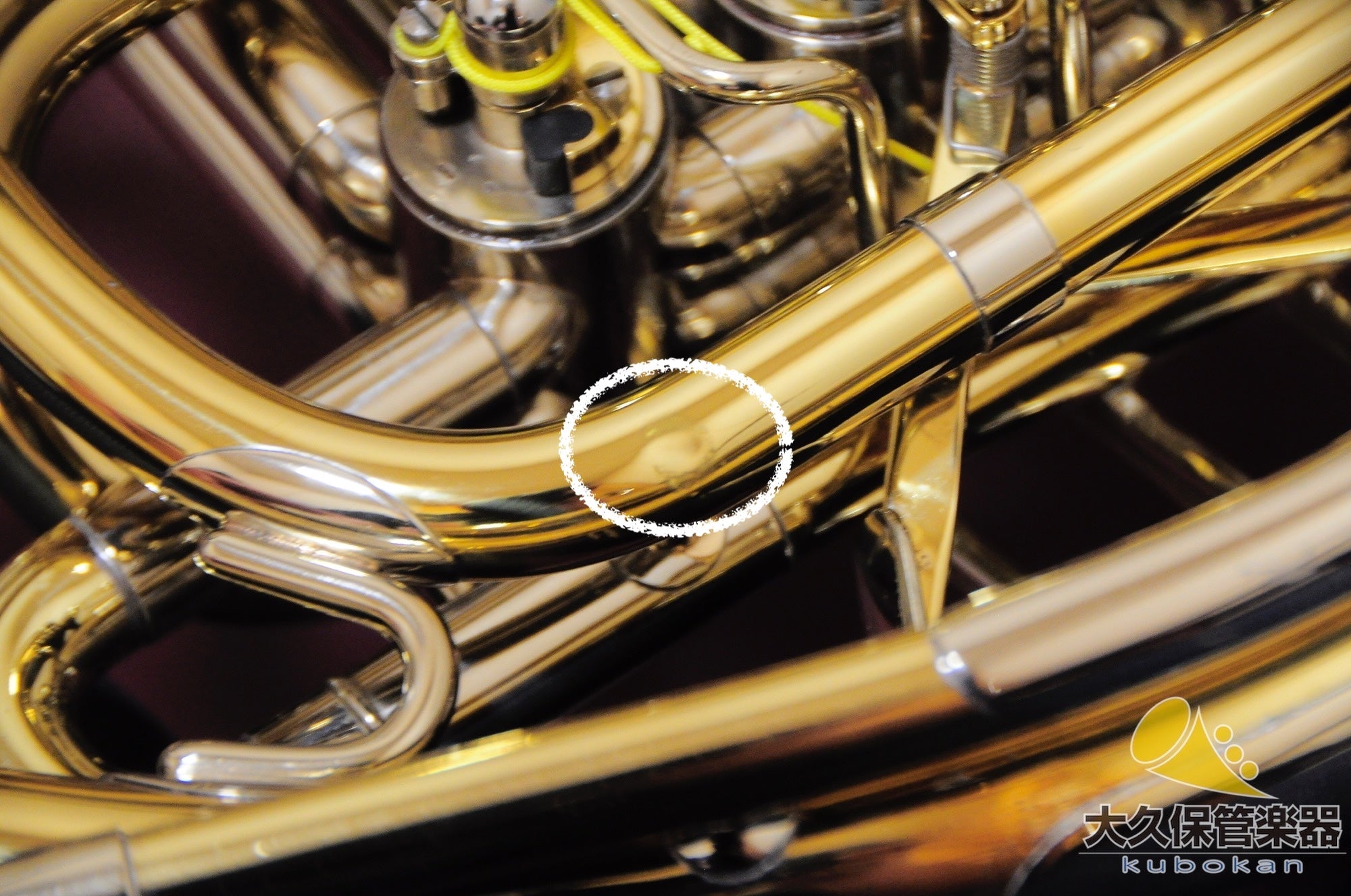 パックスマン MODEL20MYDC フルダブルホルン - TC楽器 - TCGAKKI