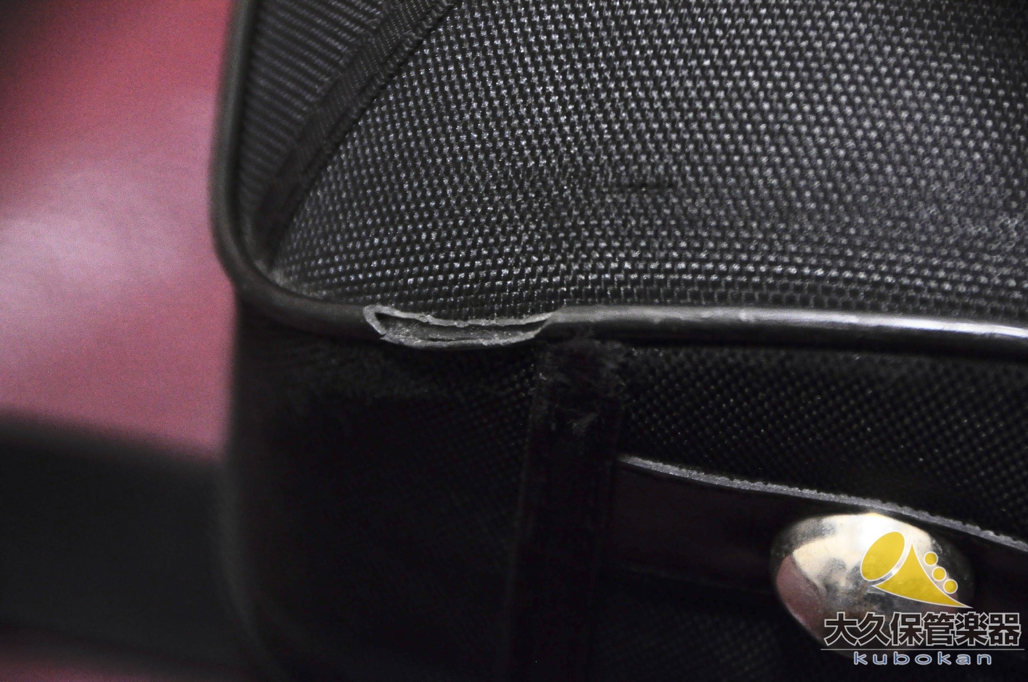 パックスマン MODEL20MYDC フルダブルホルン - TC楽器 - TCGAKKI