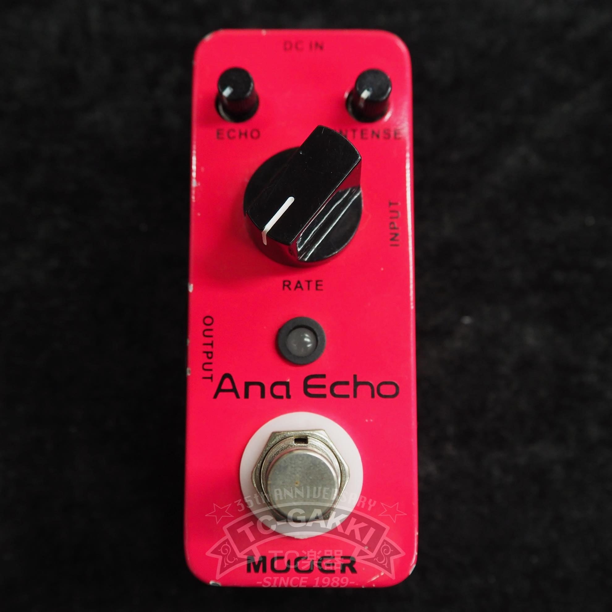 MOOER Ana Echo