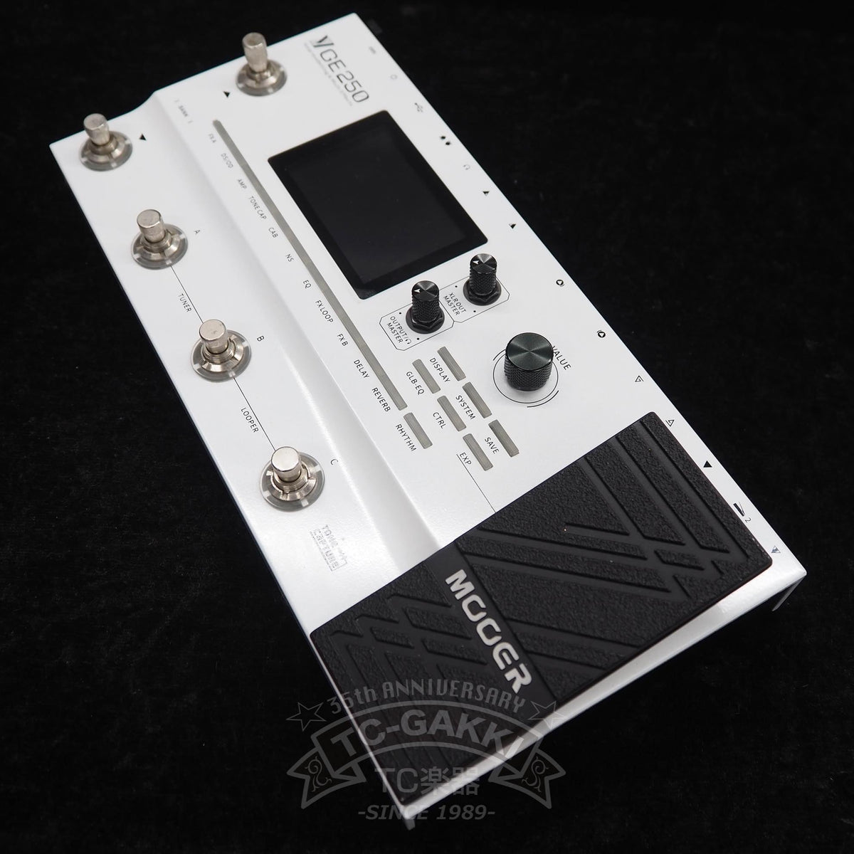 MOOER GE250 Amp Modelling & Multi Effects - TC楽器 - TCGAKKI