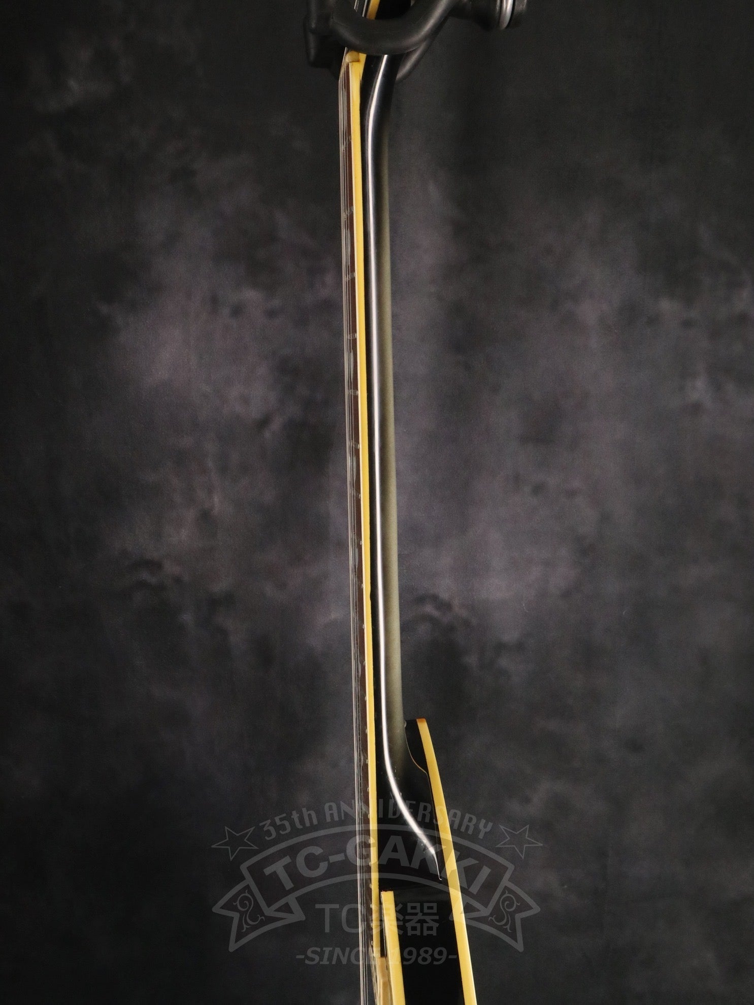 Moon sault Silver Sunburst - TC楽器 - TCGAKKI