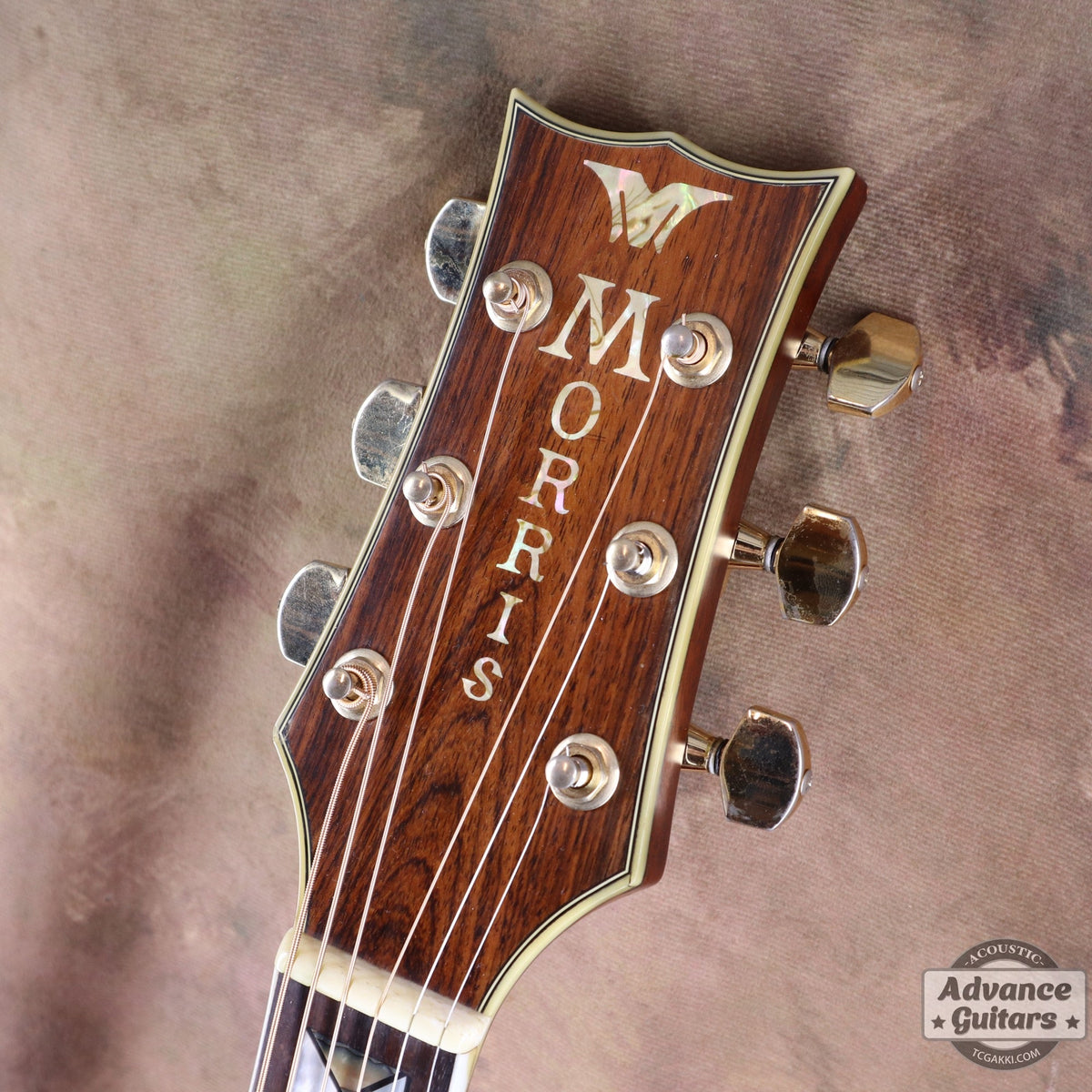 Morris 1980s MG-601 - TC楽器 - TCGAKKI