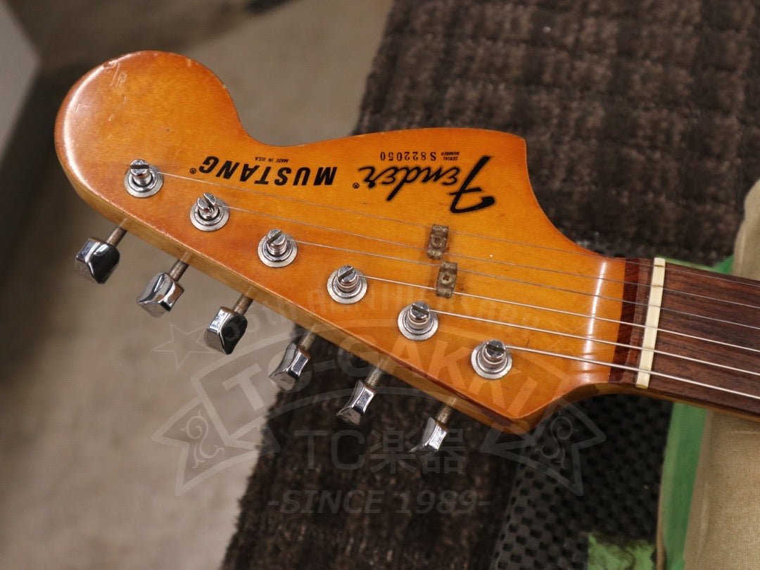 Mustang - TC楽器 - TCGAKKI