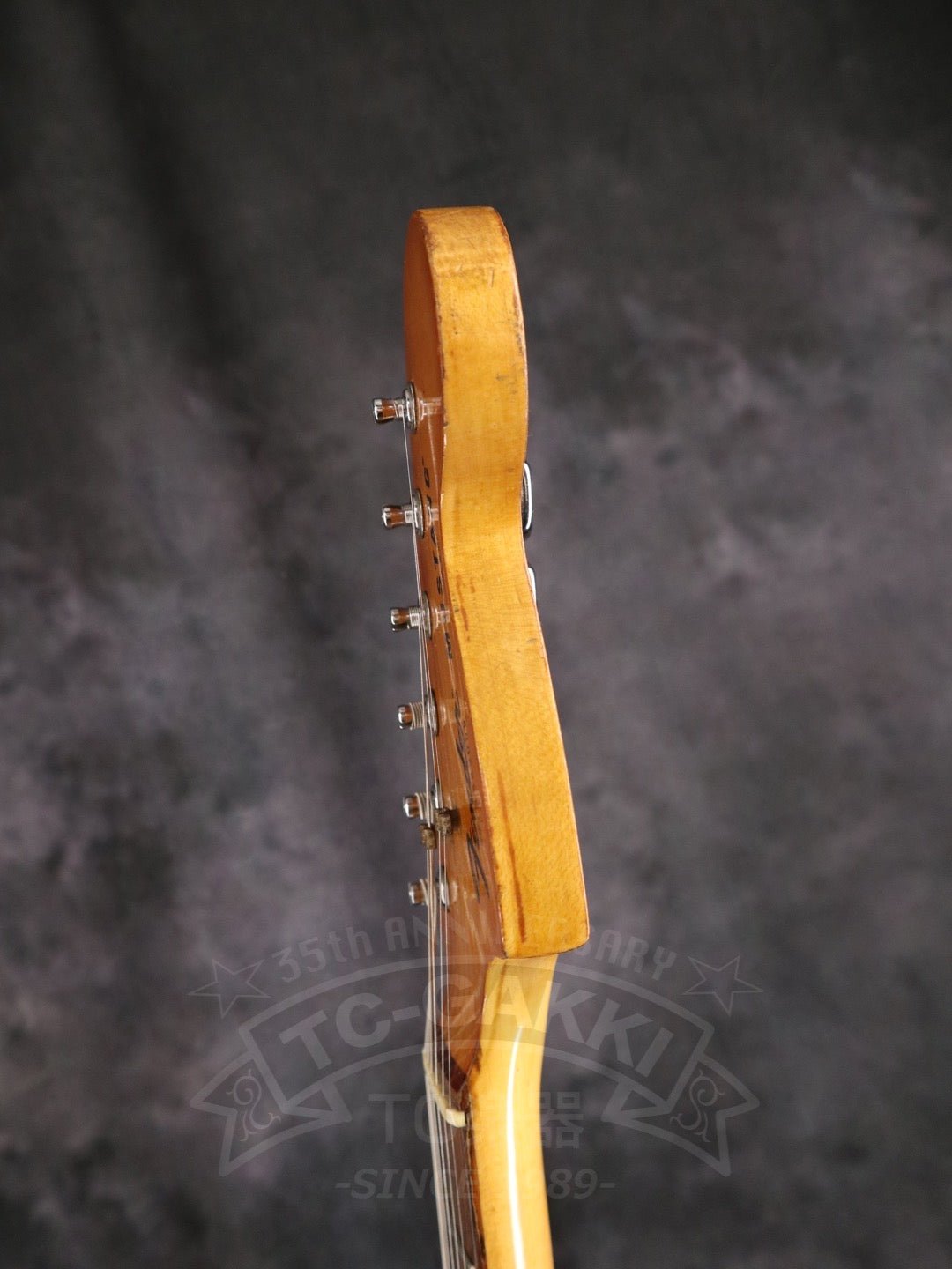Mustang - TC楽器 - TCGAKKI