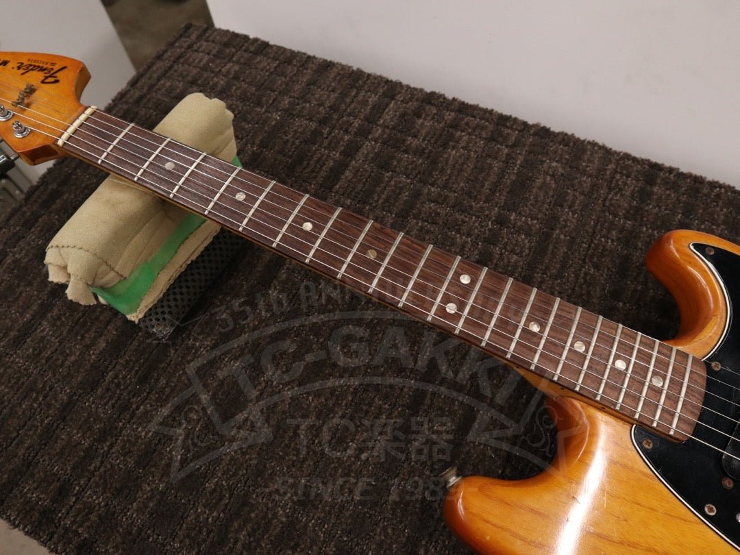 Mustang - TC楽器 - TCGAKKI