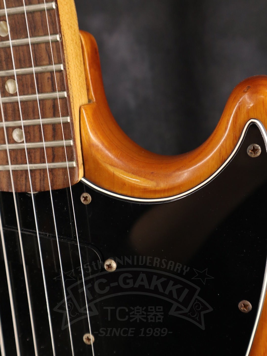 Mustang - TC楽器 - TCGAKKI