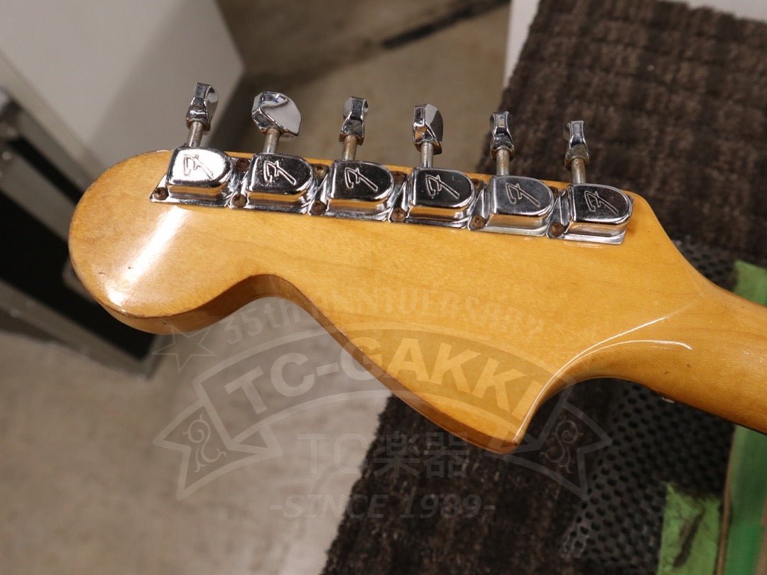 Mustang - TC楽器 - TCGAKKI