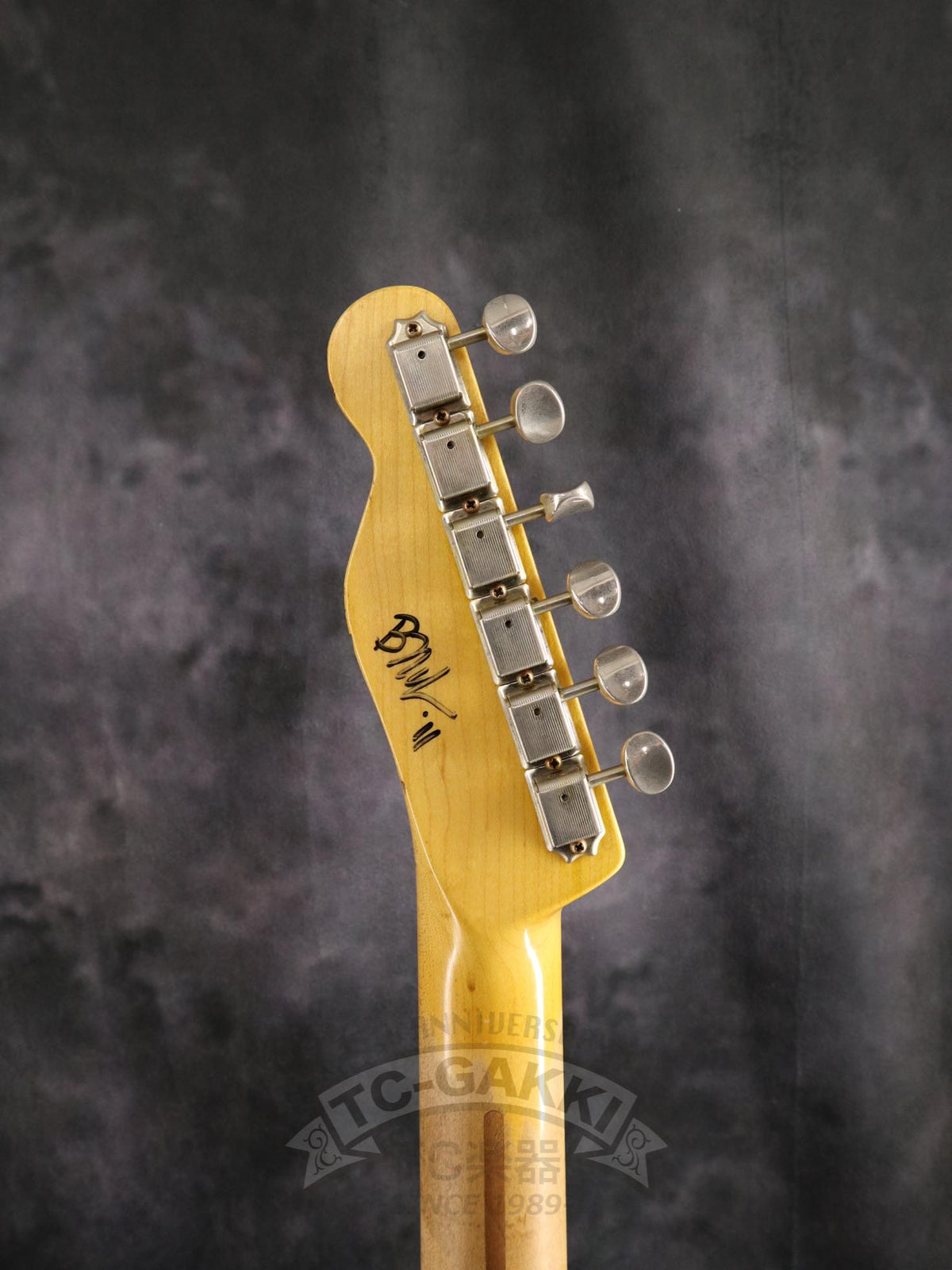 Nash Guitars TC72 Med-Aged - TC-Instrumente - TCGAKKI