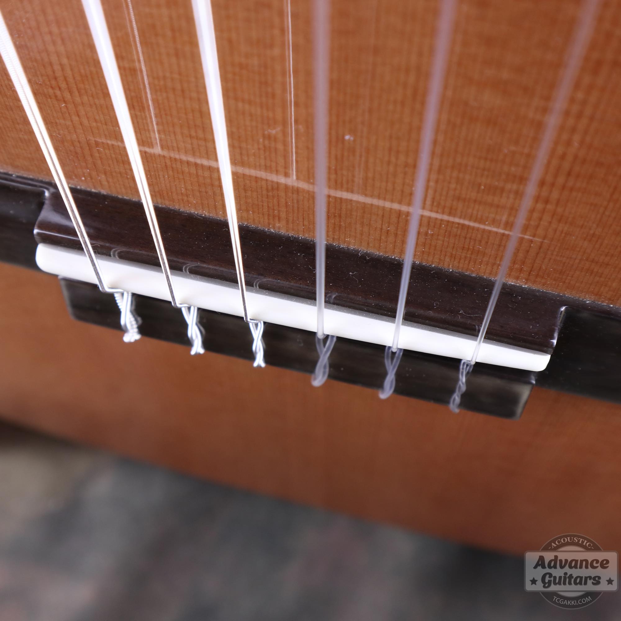 NF - 04B - TC楽器 - TCGAKKI