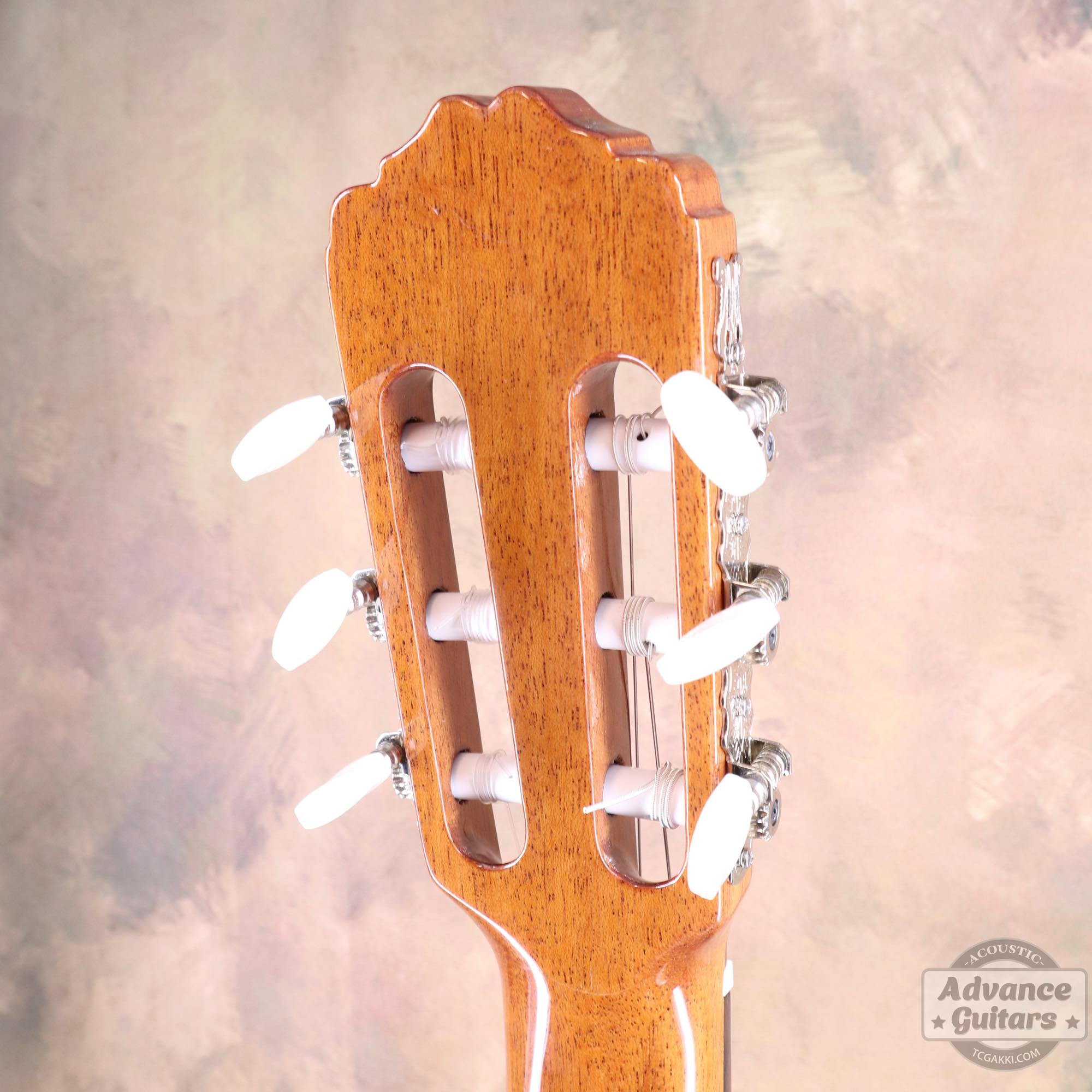 NF - 04B - TC楽器 - TCGAKKI