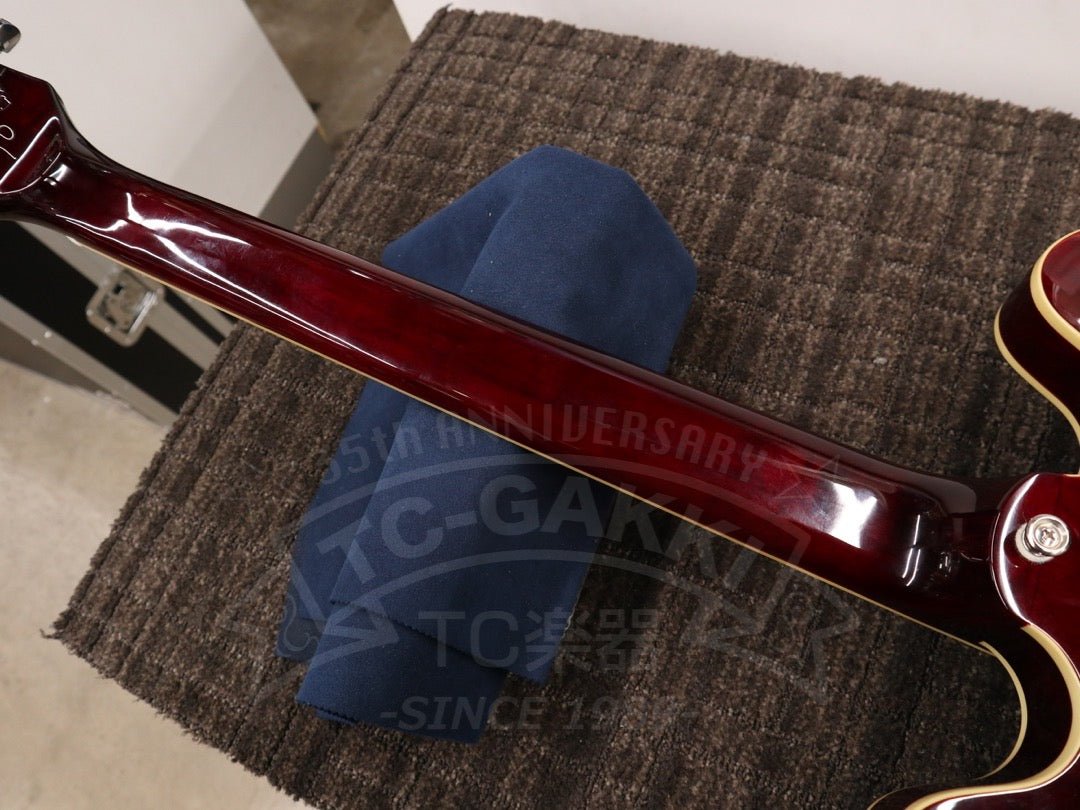 Noel Gallaghar Riviera - TC楽器 - TCGAKKI