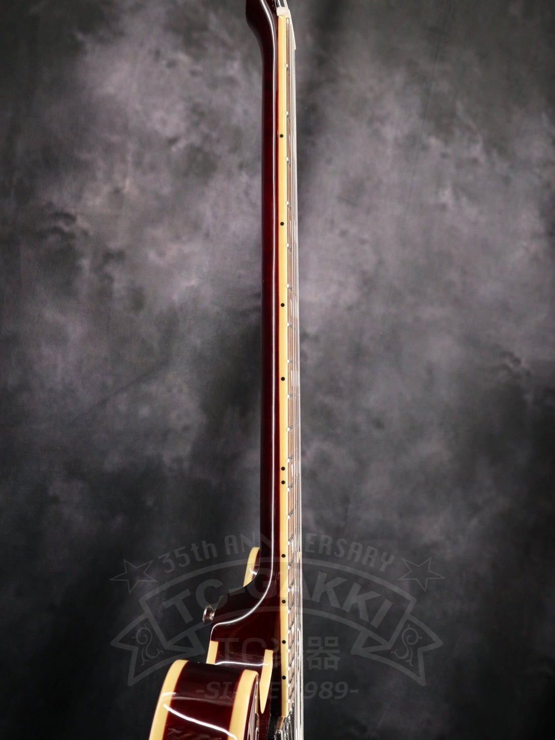 Noel Gallaghar Riviera - TC楽器 - TCGAKKI