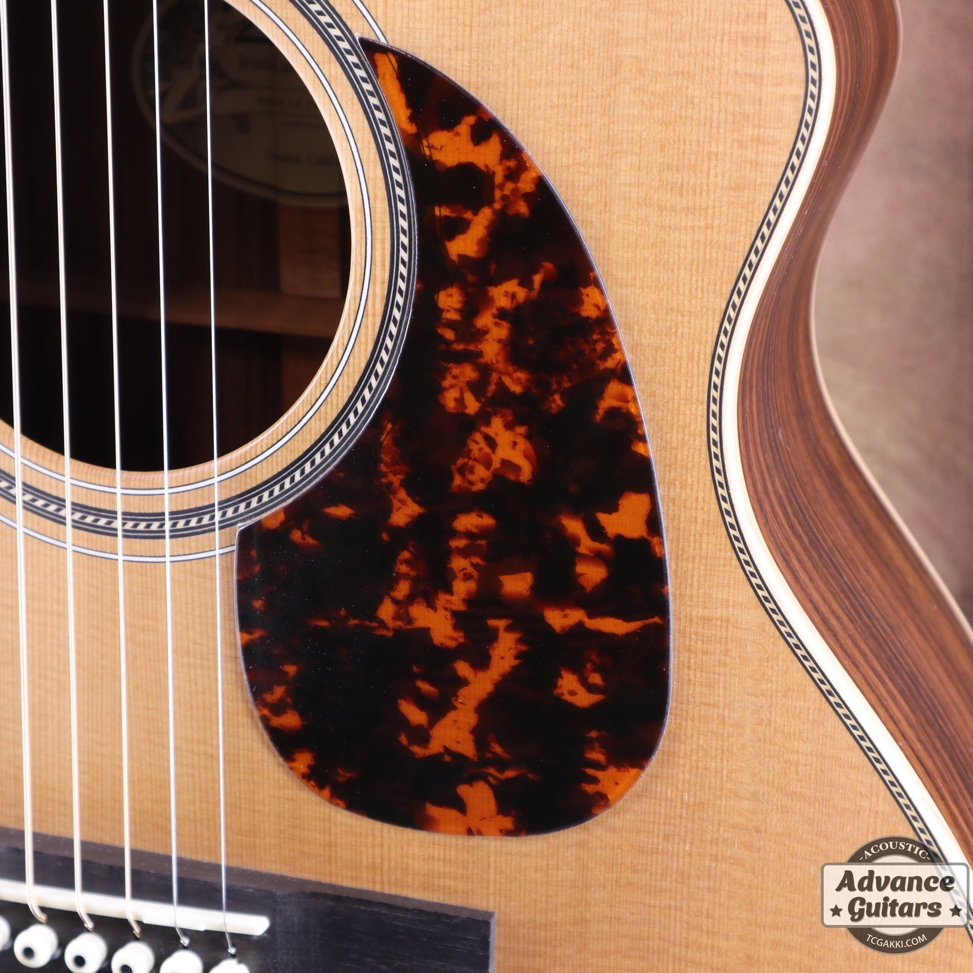 OMV - 40R - TC楽器 - TCGAKKI