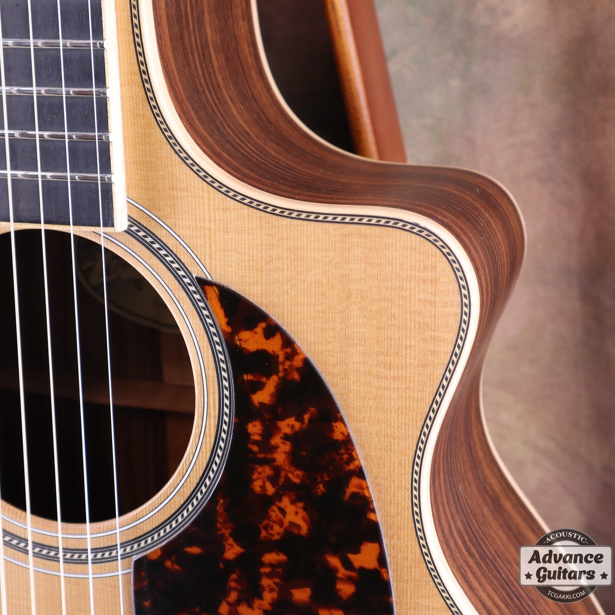 OMV - 40R - TC楽器 - TCGAKKI