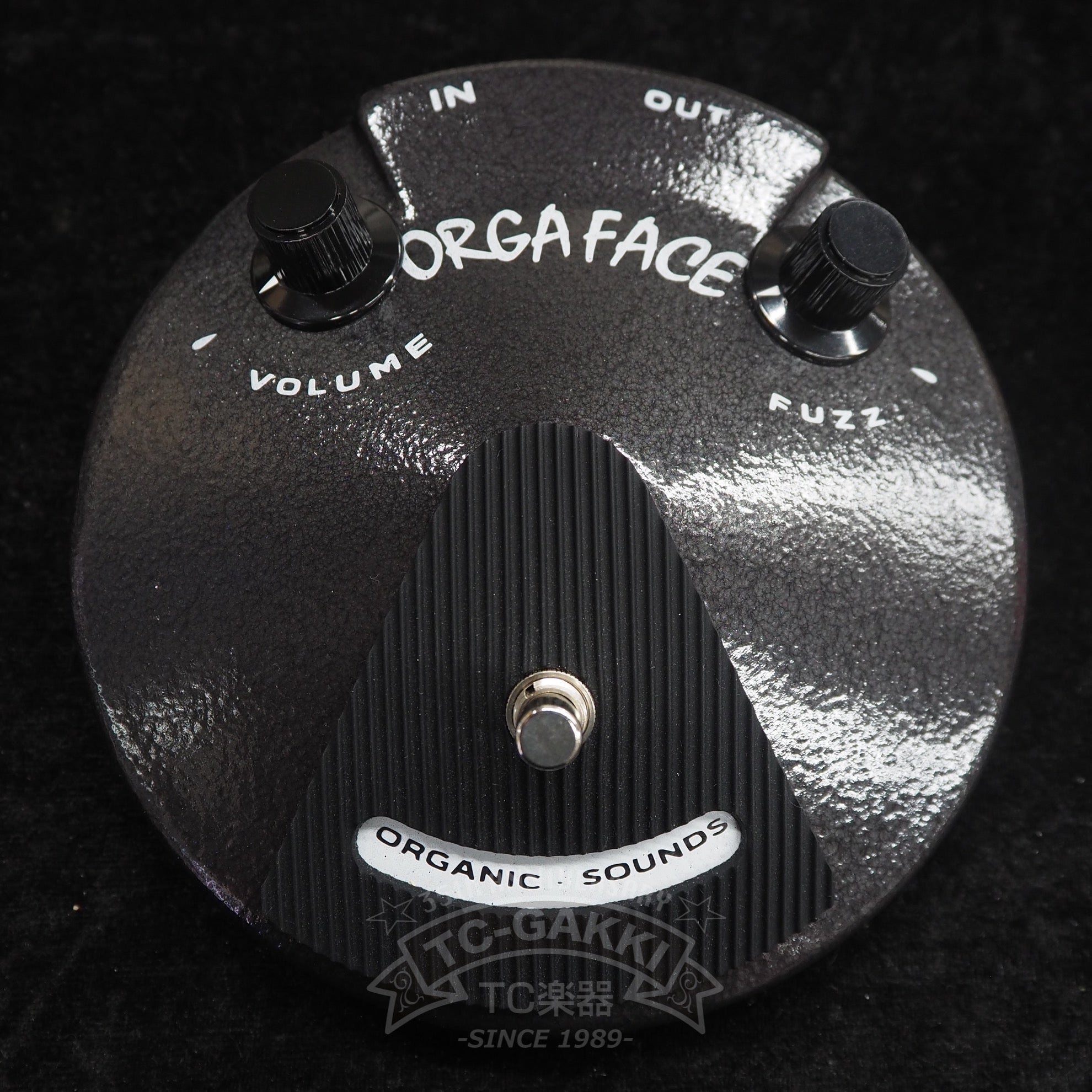 Organic Sounds ORGA FACE 66 - TC楽器 - TCGAKKI