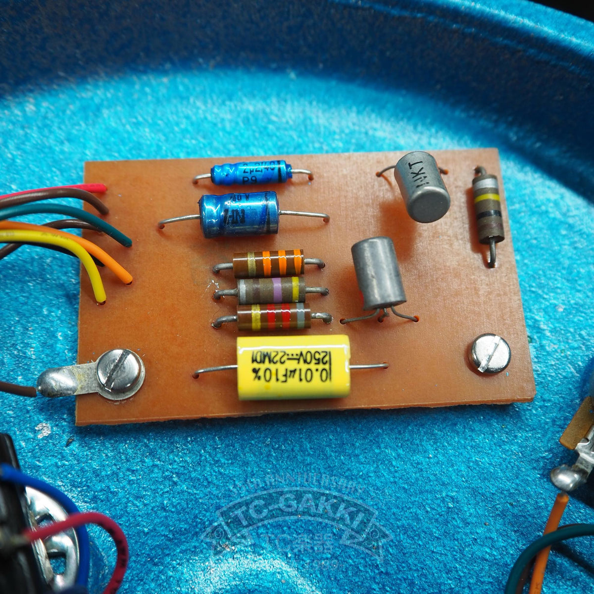 Organic Sounds ORGA FACE 66 SP - TC楽器 - TCGAKKI