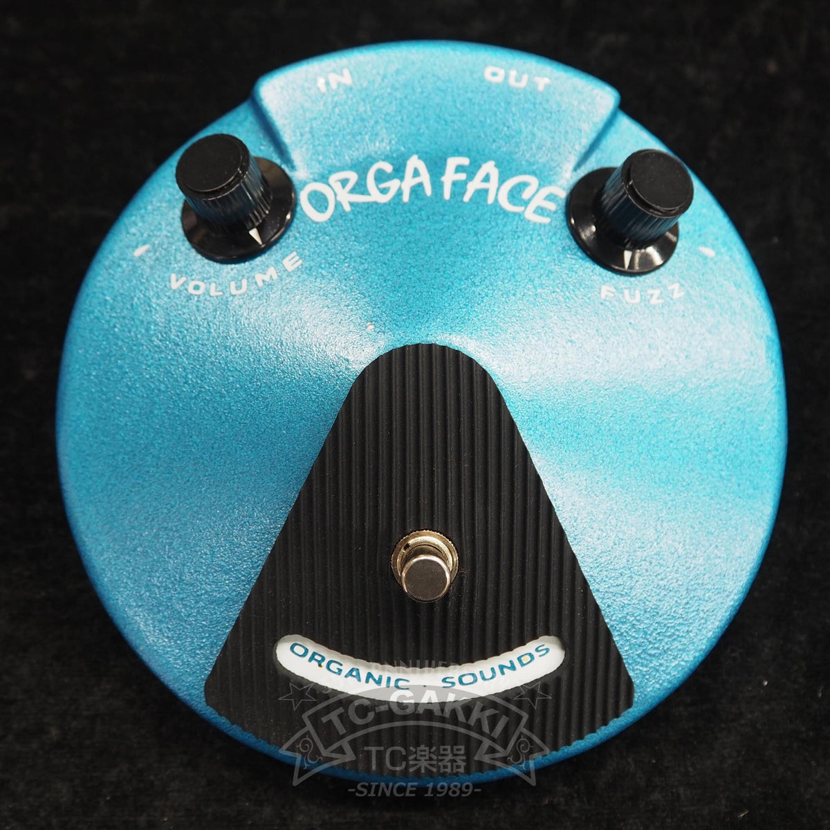Organic Sounds ORGA FACE 66 SP - TC楽器 - TCGAKKI