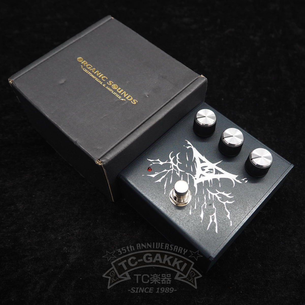 Organic Sounds Rain Storm - TC楽器 - TCGAKKI